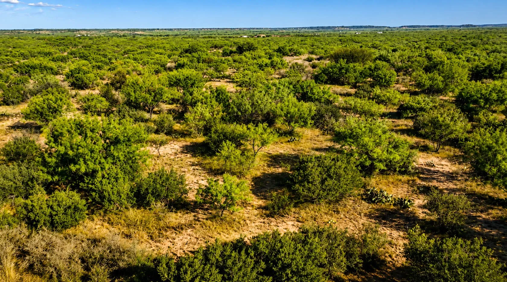 Ranch For Sale in Mc Culloch County , 00000 FM 1028, Rochelle, Texas 76872, 0, 0, Garage spaces, 0 Sqft, built in 0, Price $431,915, mls#21367308, Real Estate Agent in Rochelle, Homes For Sale in Mc Culloch county, Homes For Sale in Rochelle, Realtor in Rochelle Texas, Real Estate Brokerage Independent Realty Texas, Luminita Cordes Realtor