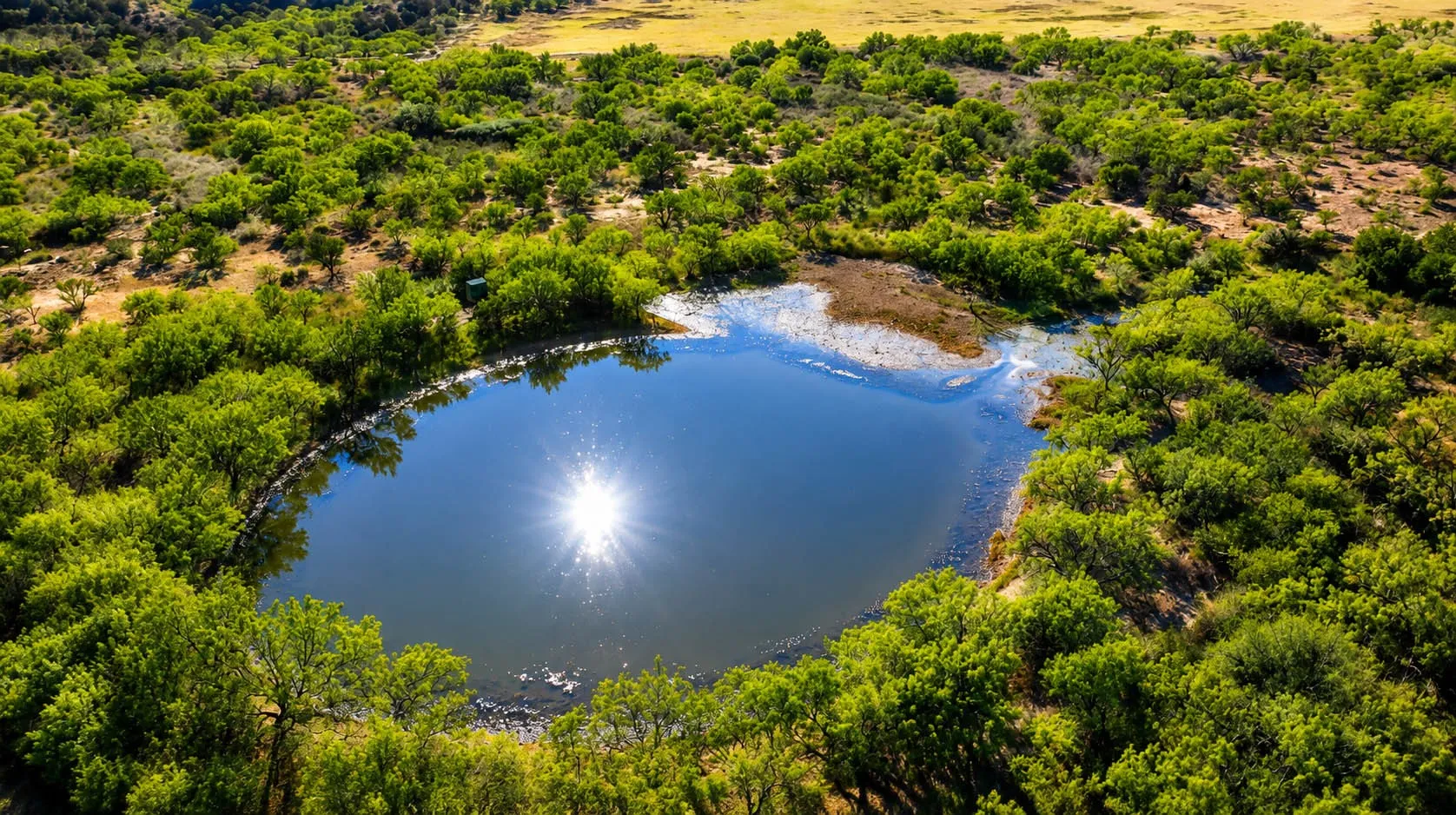 Ranch For Sale in Mc Culloch County , 00000 FM 1028, Rochelle, Texas 76872, 0, 0, Garage spaces, 0 Sqft, built in 0, Price $431,915, mls#21367308, Real Estate Agent in Rochelle, Homes For Sale in Mc Culloch county, Homes For Sale in Rochelle, Realtor in Rochelle Texas, Real Estate Brokerage Independent Realty Texas, Luminita Cordes Realtor