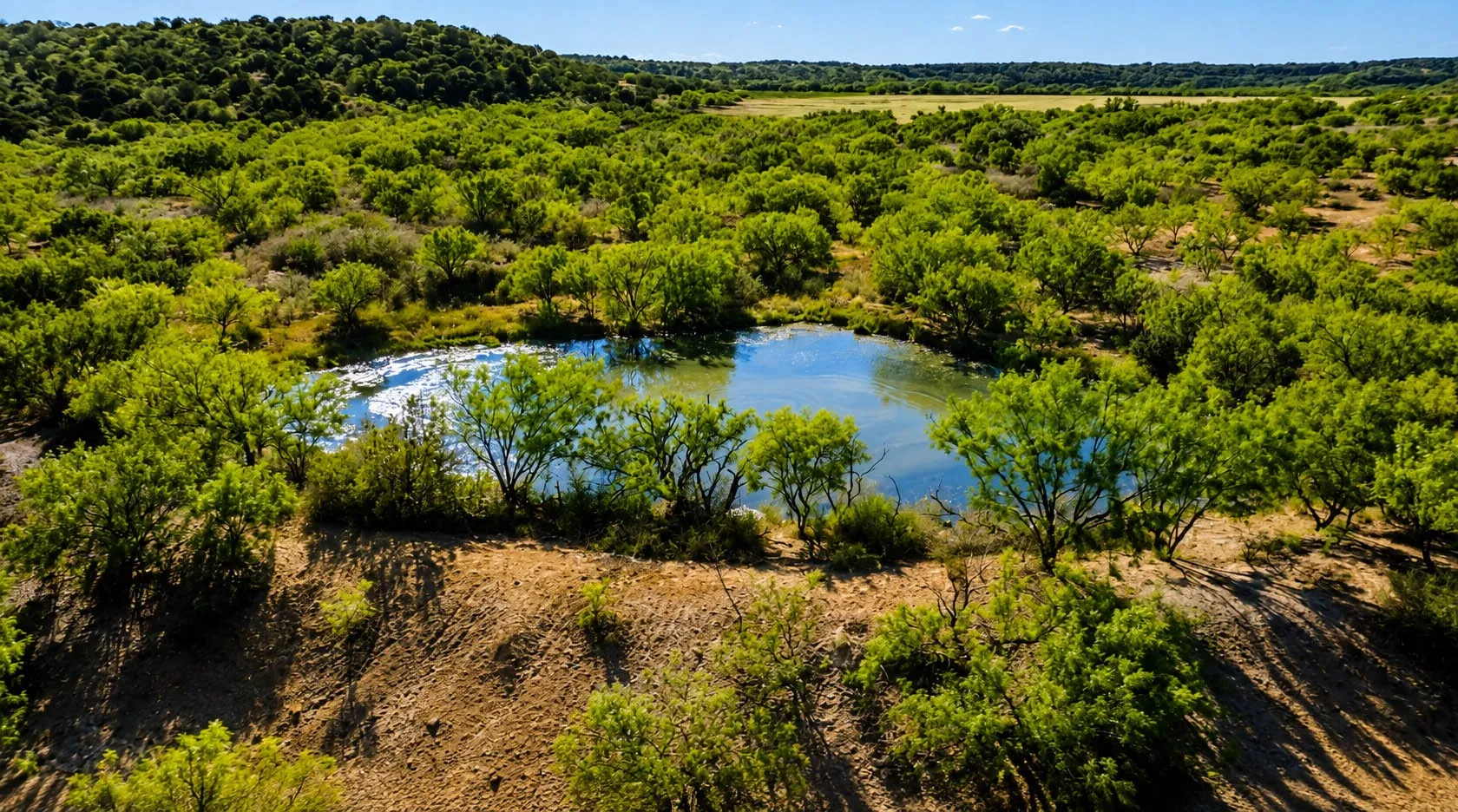 Ranch For Sale in Mc Culloch County , 00000 FM 1028, Rochelle, Texas 76872, 0, 0, Garage spaces, 0 Sqft, built in 0, Price $431,915, mls#21367308, Real Estate Agent in Rochelle, Homes For Sale in Mc Culloch county, Homes For Sale in Rochelle, Realtor in Rochelle Texas, Real Estate Brokerage Independent Realty Texas, Luminita Cordes Realtor