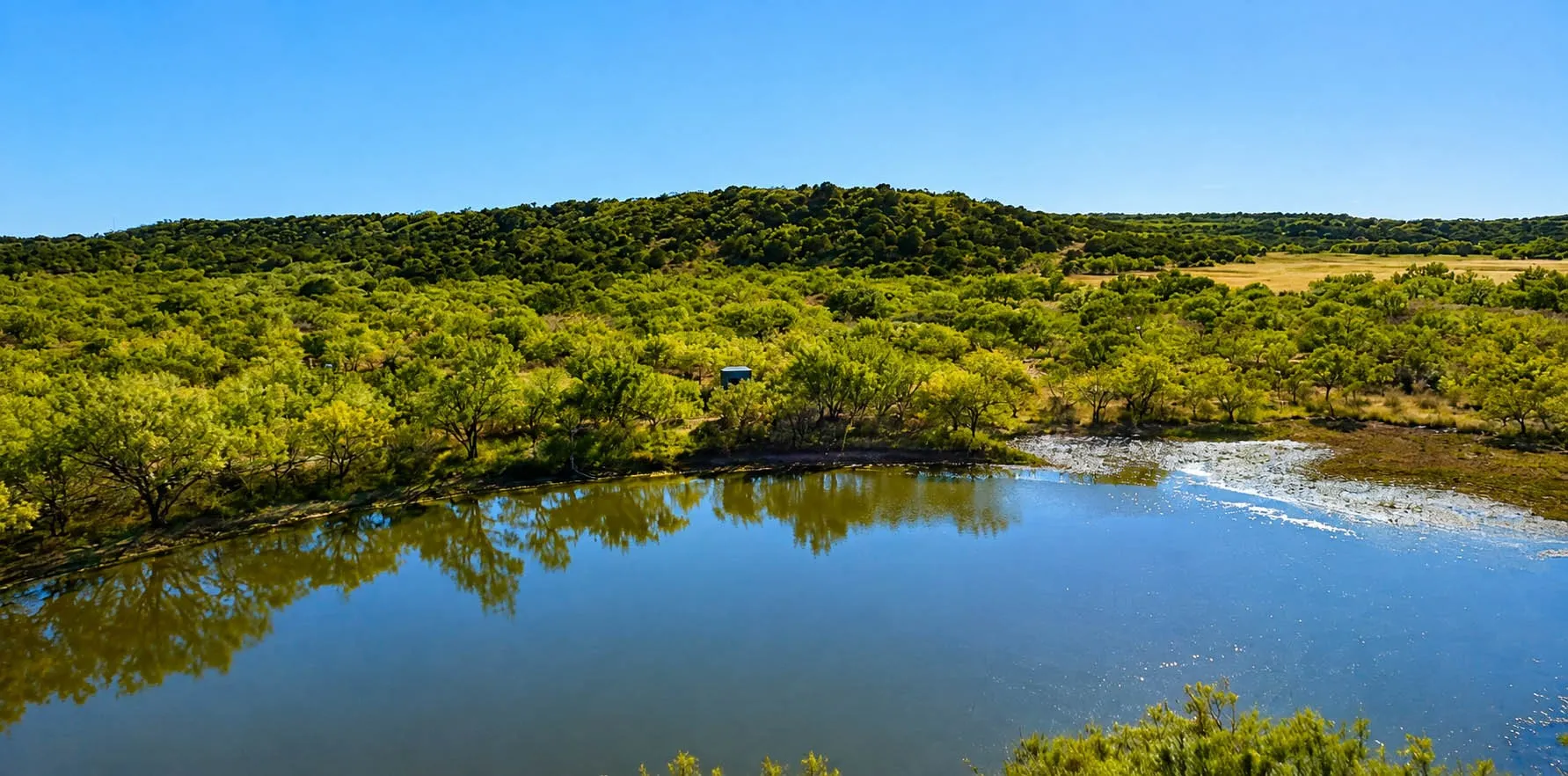 Ranch For Sale in Mc Culloch County , 00000 FM 1028, Rochelle, Texas 76872, 0, 0, Garage spaces, 0 Sqft, built in 0, Price $431,915, mls#21367308, Real Estate Agent in Rochelle, Homes For Sale in Mc Culloch county, Homes For Sale in Rochelle, Realtor in Rochelle Texas, Real Estate Brokerage Independent Realty Texas, Luminita Cordes Realtor