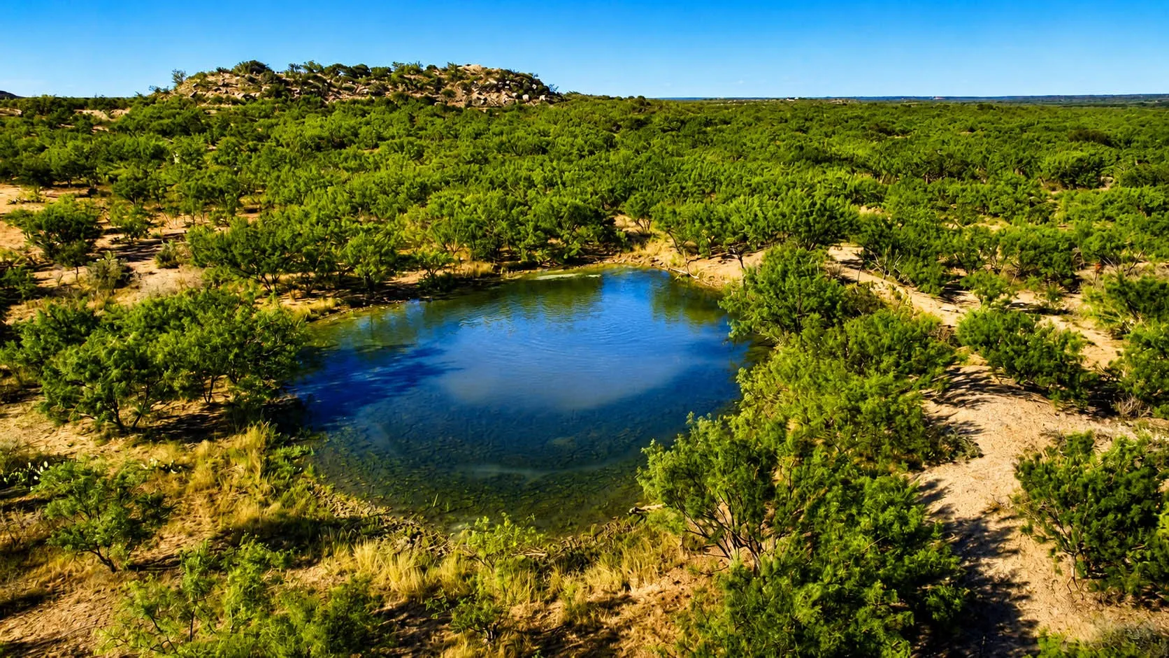 Ranch For Sale in Mc Culloch County , 00000 FM 1028, Rochelle, Texas 76872, 0, 0, Garage spaces, 0 Sqft, built in 0, Price $431,915, mls#21367308, Real Estate Agent in Rochelle, Homes For Sale in Mc Culloch county, Homes For Sale in Rochelle, Realtor in Rochelle Texas, Real Estate Brokerage Independent Realty Texas, Luminita Cordes Realtor