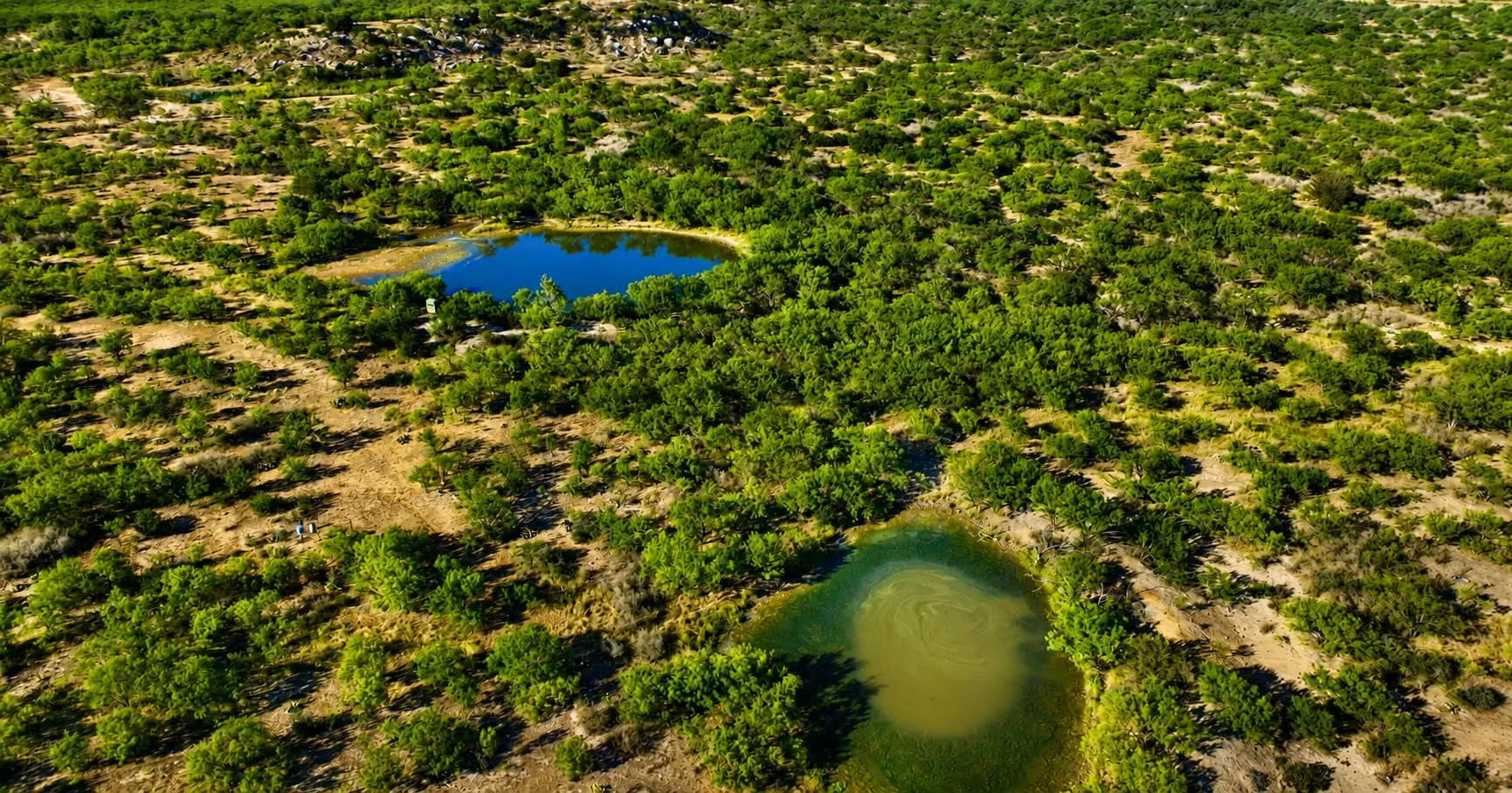 Ranch For Sale in Mc Culloch County , 00000 FM 1028, Rochelle, Texas 76872, 0, 0, Garage spaces, 0 Sqft, built in 0, Price $431,915, mls#21367308, Real Estate Agent in Rochelle, Homes For Sale in Mc Culloch county, Homes For Sale in Rochelle, Realtor in Rochelle Texas, Real Estate Brokerage Independent Realty Texas, Luminita Cordes Realtor