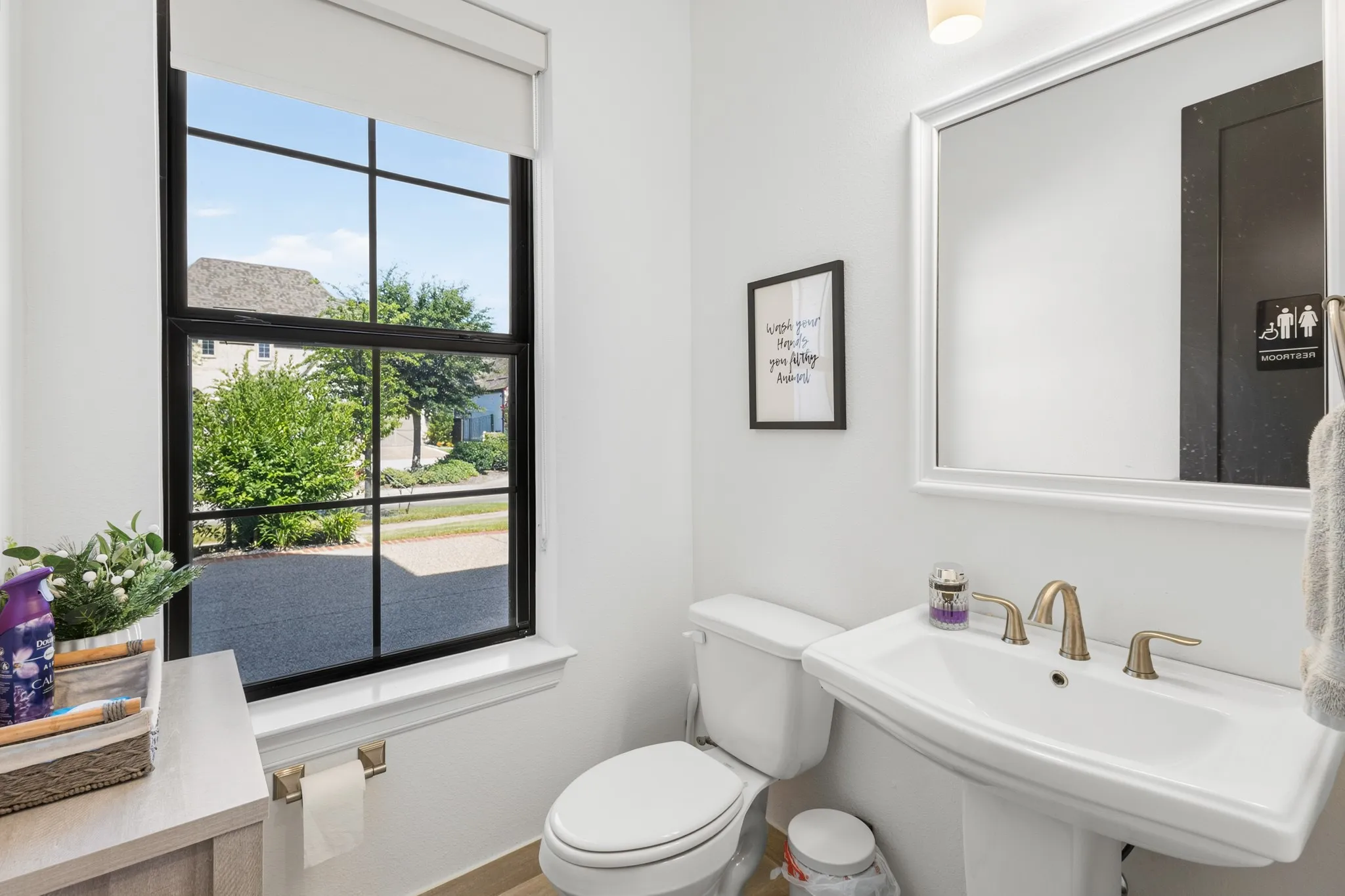 Pedestal sink with brass-finish faucet, framed wall mirror, and window with dark grid