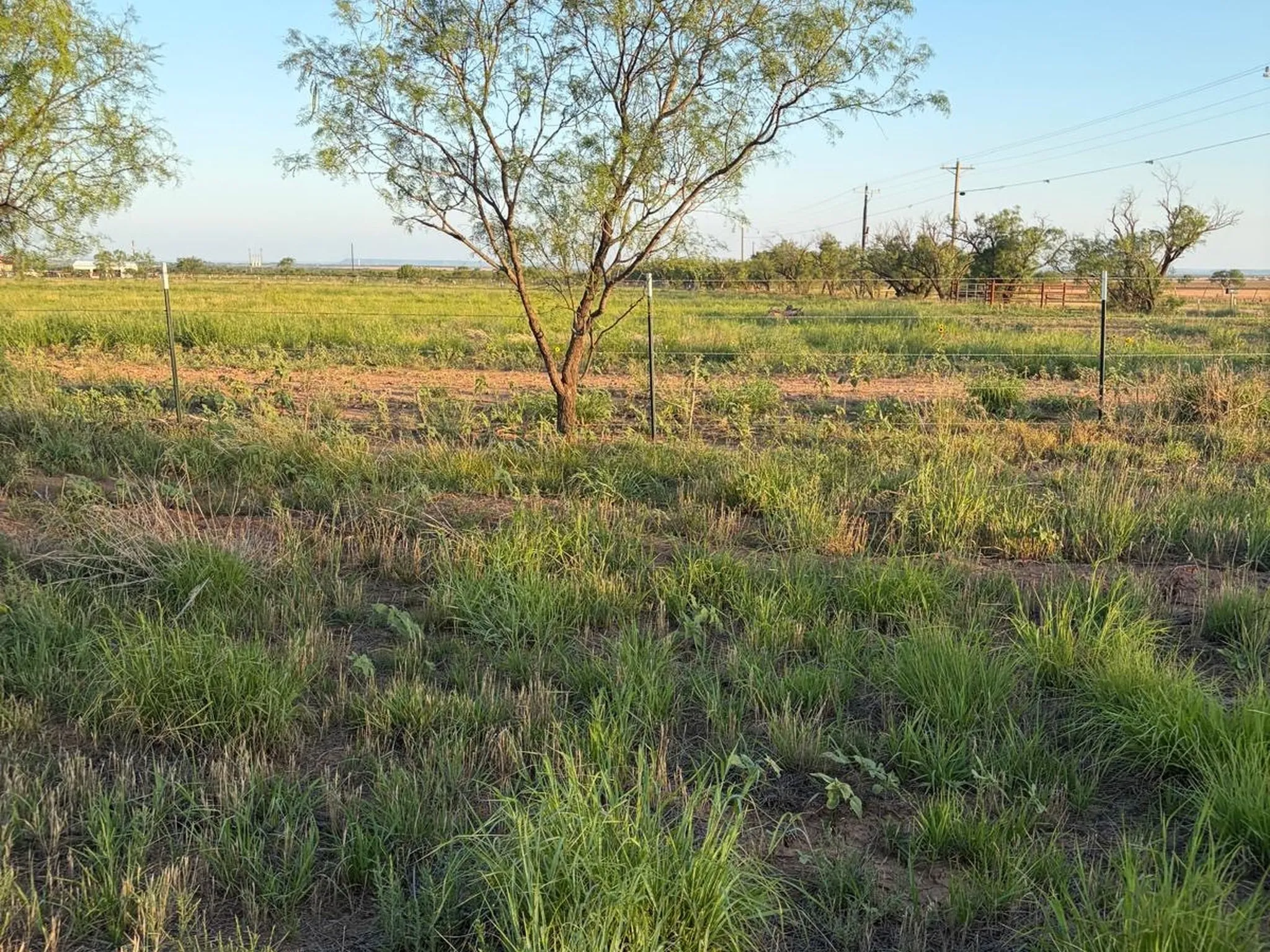 Mobile Home For Sale in Jones County , 14214 County Road 421, Merkel, Texas 79536, 3 Bedroom, 2 Bathroom, Garage spaces, 1,064 Sqft, built in 2000, Price $165,000, mls#21362386, Real Estate Agent in Merkel, Homes For Sale in Jones county, Homes For Sale in Merkel, Realtor in Merkel Texas, Real Estate Brokerage Independent Realty Texas, Luminita Cordes Realtor
