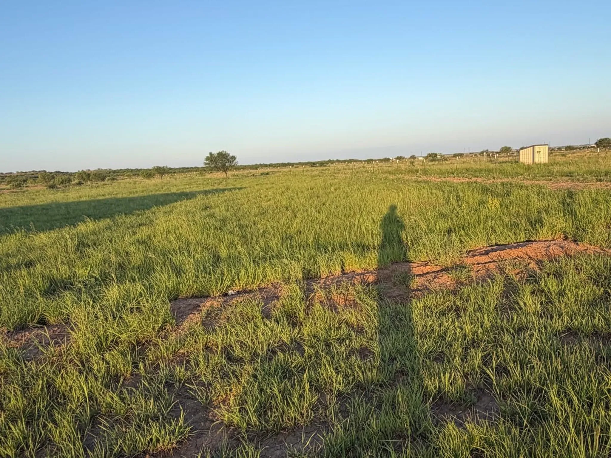 Mobile Home For Sale in Jones County , 14214 County Road 421, Merkel, Texas 79536, 3 Bedroom, 2 Bathroom, Garage spaces, 1,064 Sqft, built in 2000, Price $165,000, mls#21362386, Real Estate Agent in Merkel, Homes For Sale in Jones county, Homes For Sale in Merkel, Realtor in Merkel Texas, Real Estate Brokerage Independent Realty Texas, Luminita Cordes Realtor