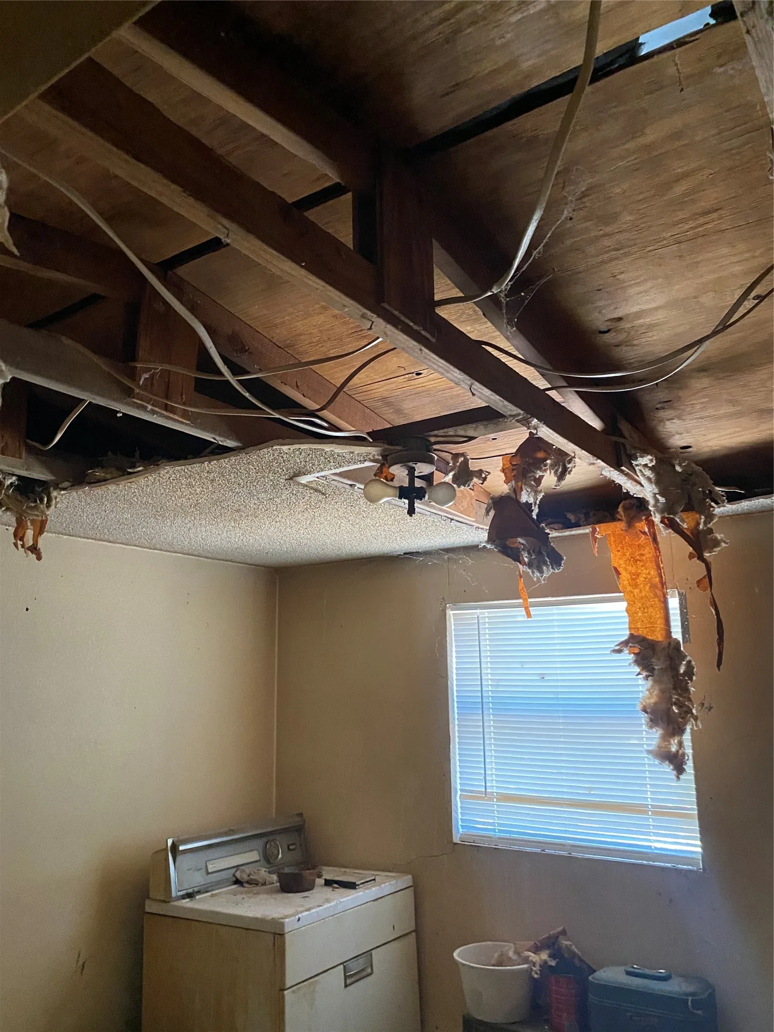 Single Family Residence For Sale in Coleman County , 1411 S Frio Street, Coleman, Texas 76834, 2 Bedroom, 1 Bathroom, Garage spaces, 720 Sqft, built in 1980, mls#21366064, Real Estate Agent in Coleman, Homes For Sale in Coleman county, Homes For Sale in Coleman, Realtor in Coleman Texas, Real Estate Brokerage Independent Realty Texas, Luminita Cordes Realtor
