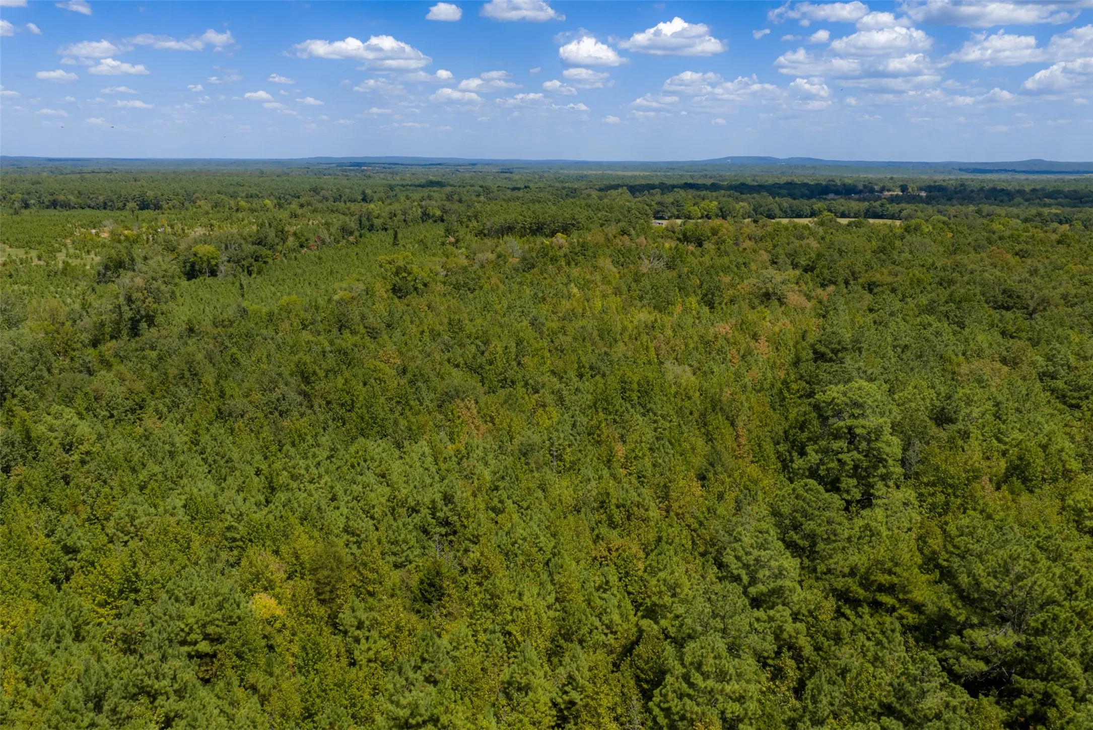 Unimproved Land For Sale in Cherokee County , N County Road 1207, Rusk, Texas 75785, 0, 0, Garage spaces, 0 Sqft, built in 0, mls#21367326, Real Estate Agent in Rusk, Homes For Sale in Cherokee county, Homes For Sale in Rusk, Realtor in Rusk Texas, Real Estate Brokerage Independent Realty Texas, Luminita Cordes Realtor