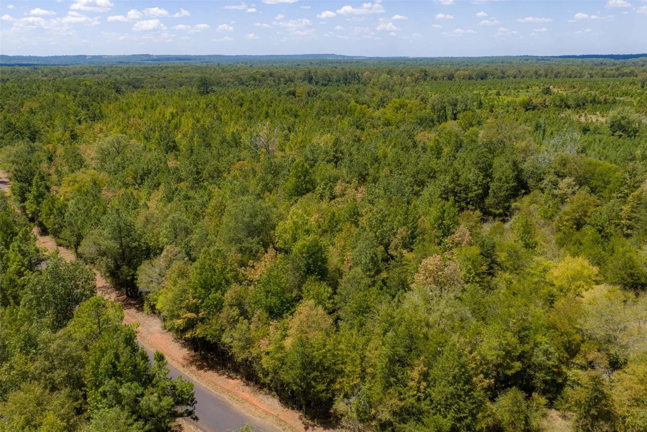 Unimproved Land For Sale in Cherokee County , N County Road 1207, Rusk, Texas 75785, 0, 0, Garage spaces, 0 Sqft, built in 0, mls#21367326, Real Estate Agent in Rusk, Homes For Sale in Cherokee county, Homes For Sale in Rusk, Realtor in Rusk Texas, Real Estate Brokerage Independent Realty Texas, Luminita Cordes Realtor
