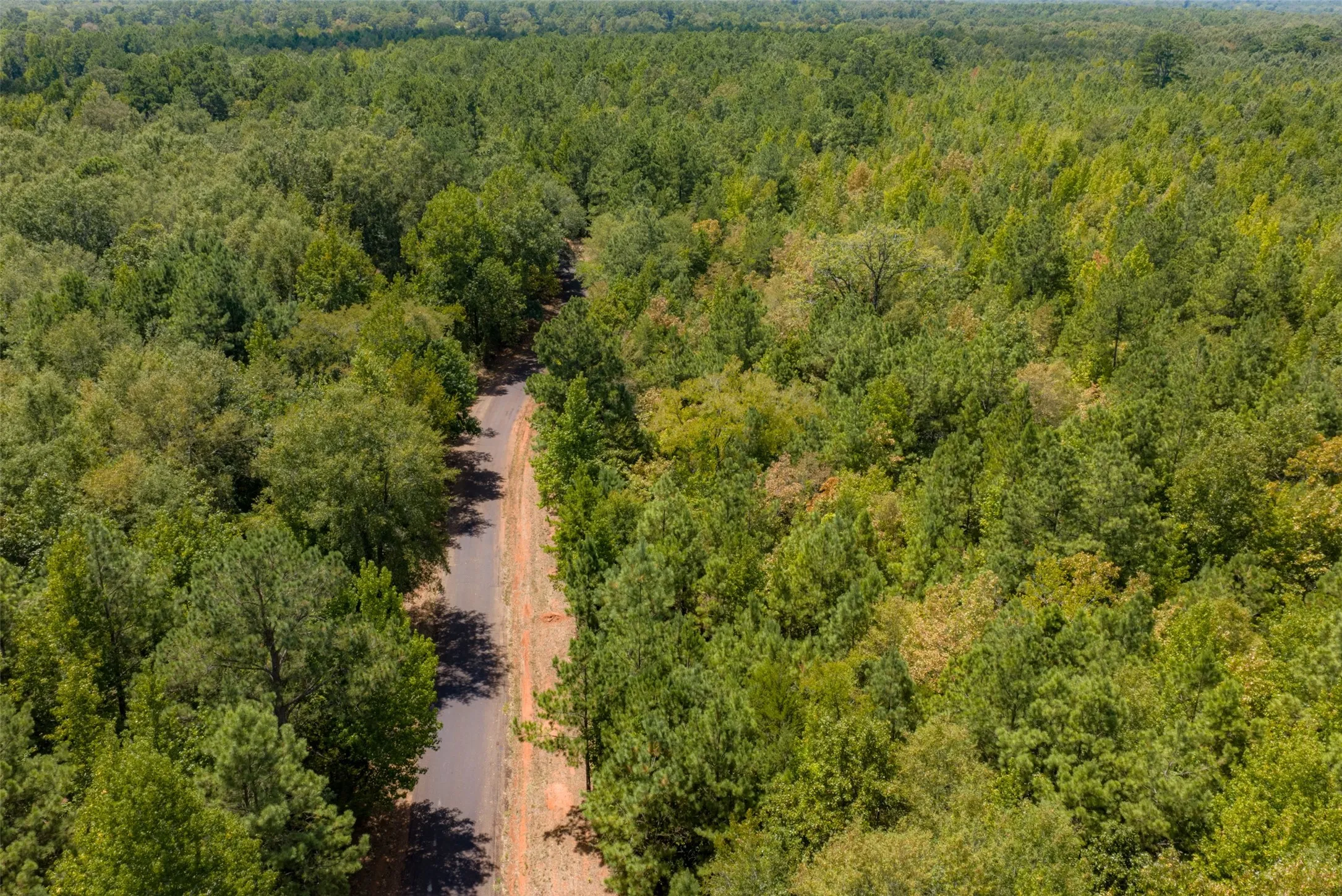 Unimproved Land For Sale in Cherokee County , N County Road 1207, Rusk, Texas 75785, 0, 0, Garage spaces, 0 Sqft, built in 0, mls#21367326, Real Estate Agent in Rusk, Homes For Sale in Cherokee county, Homes For Sale in Rusk, Realtor in Rusk Texas, Real Estate Brokerage Independent Realty Texas, Luminita Cordes Realtor