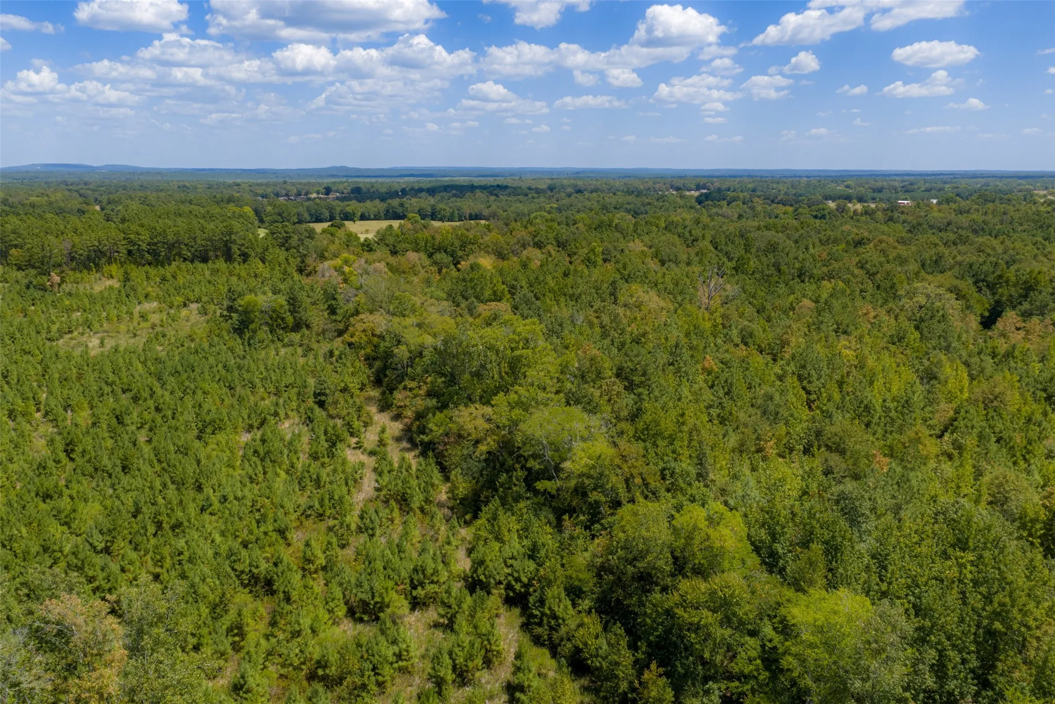 Unimproved Land For Sale in Cherokee County , N County Road 1207, Rusk, Texas 75785, 0, 0, Garage spaces, 0 Sqft, built in 0, mls#21367326, Real Estate Agent in Rusk, Homes For Sale in Cherokee county, Homes For Sale in Rusk, Realtor in Rusk Texas, Real Estate Brokerage Independent Realty Texas, Luminita Cordes Realtor