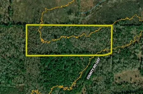 Unimproved Land For Sale in Cherokee County , N County Road 1207, Rusk, Texas 75785, 0, 0, Garage spaces, 0 Sqft, built in 0, mls#21367326, Real Estate Agent in Rusk, Homes For Sale in Cherokee county, Homes For Sale in Rusk, Realtor in Rusk Texas, Real Estate Brokerage Independent Realty Texas, Luminita Cordes Realtor