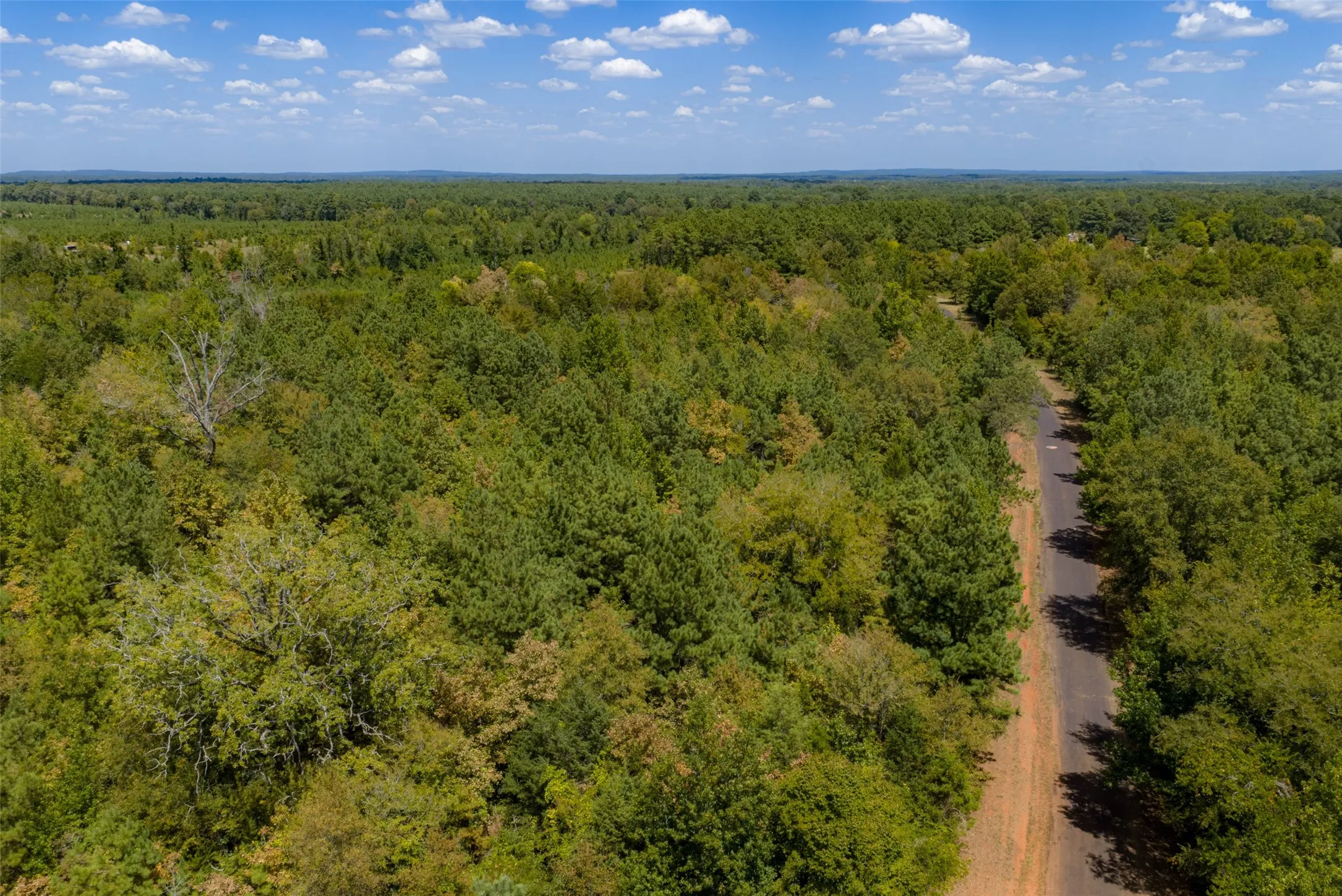 Unimproved Land For Sale in Cherokee County , N County Road 1207, Rusk, Texas 75785, 0, 0, Garage spaces, 0 Sqft, built in 0, mls#21367326, Real Estate Agent in Rusk, Homes For Sale in Cherokee county, Homes For Sale in Rusk, Realtor in Rusk Texas, Real Estate Brokerage Independent Realty Texas, Luminita Cordes Realtor