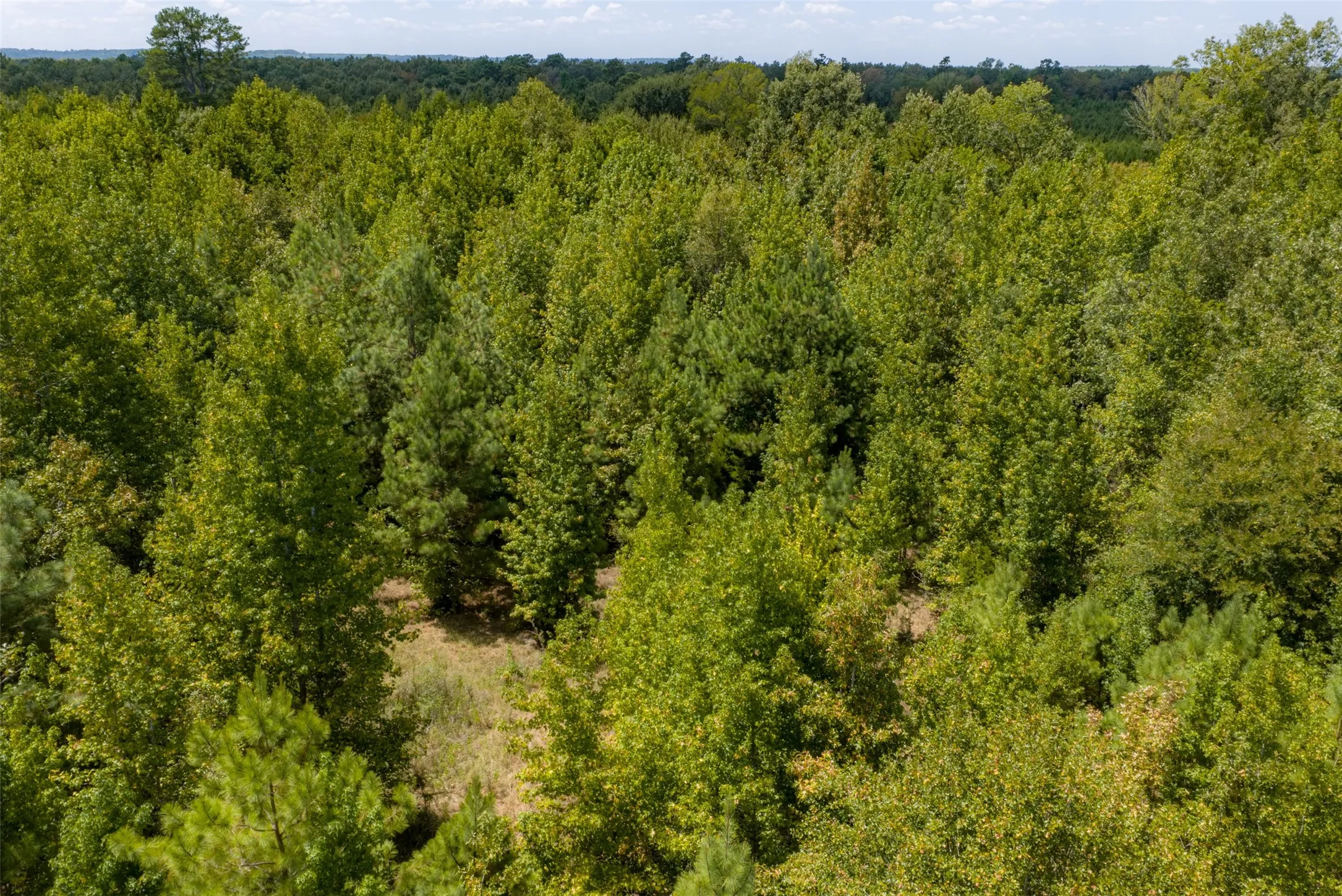 Unimproved Land For Sale in Cherokee County , N County Road 1207, Rusk, Texas 75785, 0, 0, Garage spaces, 0 Sqft, built in 0, mls#21367326, Real Estate Agent in Rusk, Homes For Sale in Cherokee county, Homes For Sale in Rusk, Realtor in Rusk Texas, Real Estate Brokerage Independent Realty Texas, Luminita Cordes Realtor