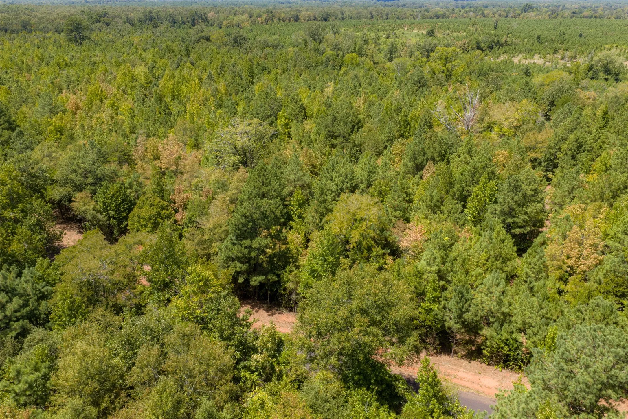 Unimproved Land For Sale in Cherokee County , N County Road 1207, Rusk, Texas 75785, 0, 0, Garage spaces, 0 Sqft, built in 0, mls#21367326, Real Estate Agent in Rusk, Homes For Sale in Cherokee county, Homes For Sale in Rusk, Realtor in Rusk Texas, Real Estate Brokerage Independent Realty Texas, Luminita Cordes Realtor