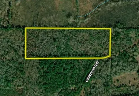 Unimproved Land For Sale in Cherokee County , N County Road 1207, Rusk, Texas 75785, 0, 0, Garage spaces, 0 Sqft, built in 0, mls#21367326, Real Estate Agent in Rusk, Homes For Sale in Cherokee county, Homes For Sale in Rusk, Realtor in Rusk Texas, Real Estate Brokerage Independent Realty Texas, Luminita Cordes Realtor