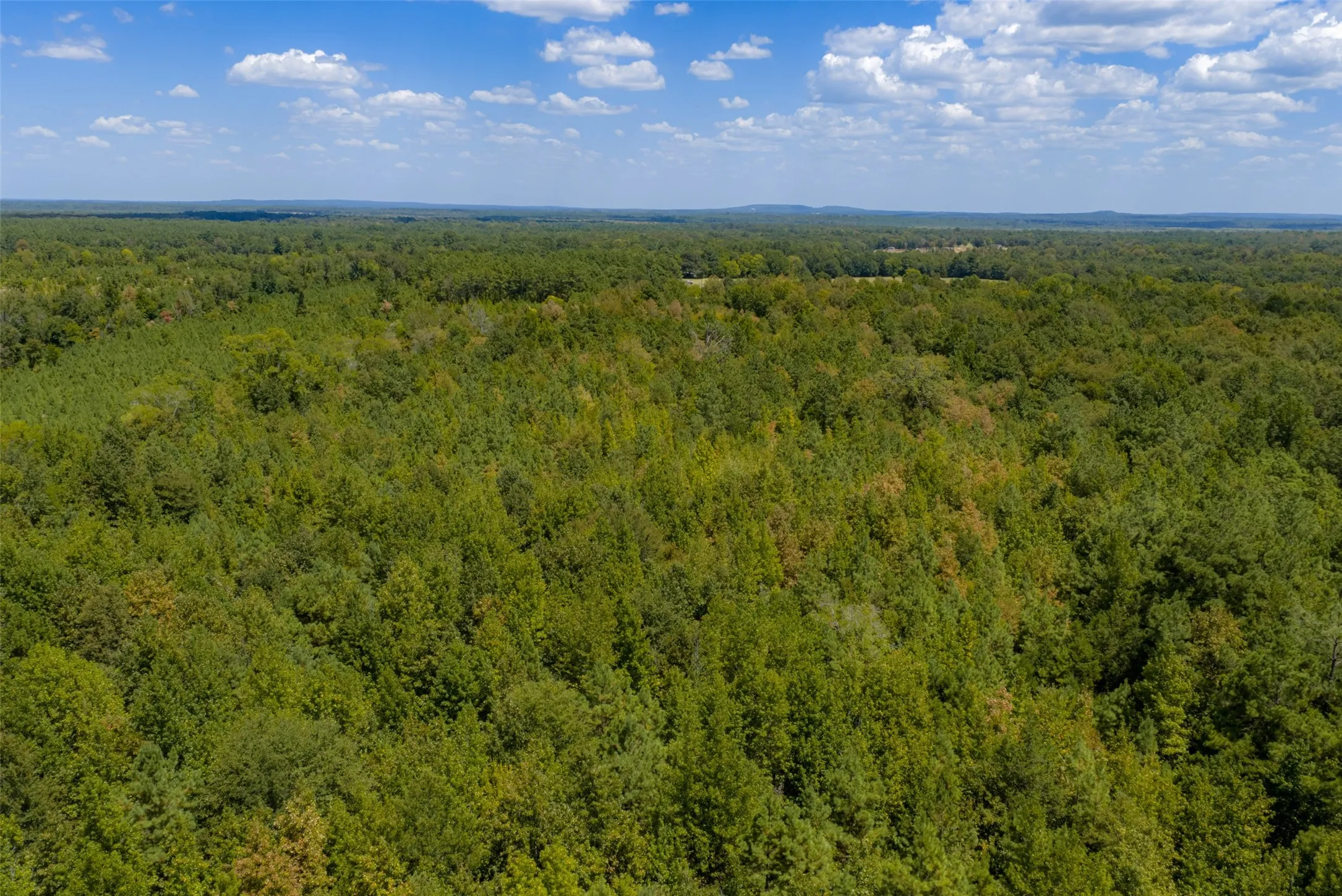 Unimproved Land For Sale in Cherokee County , N County Road 1207, Rusk, Texas 75785, 0, 0, Garage spaces, 0 Sqft, built in 0, mls#21367326, Real Estate Agent in Rusk, Homes For Sale in Cherokee county, Homes For Sale in Rusk, Realtor in Rusk Texas, Real Estate Brokerage Independent Realty Texas, Luminita Cordes Realtor