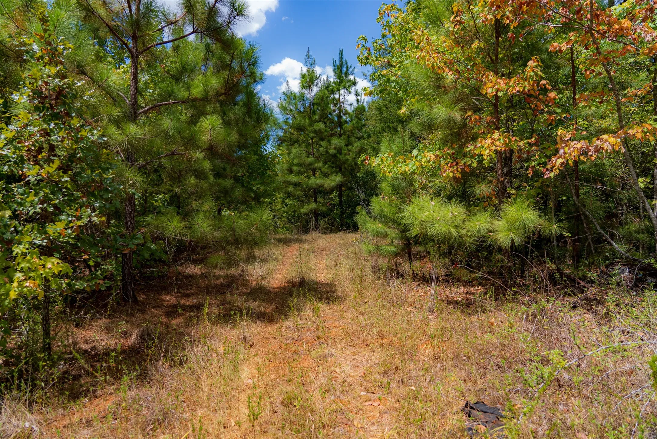 Unimproved Land For Sale in Cherokee County , N County Road 1207, Rusk, Texas 75785, 0, 0, Garage spaces, 0 Sqft, built in 0, mls#21367326, Real Estate Agent in Rusk, Homes For Sale in Cherokee county, Homes For Sale in Rusk, Realtor in Rusk Texas, Real Estate Brokerage Independent Realty Texas, Luminita Cordes Realtor