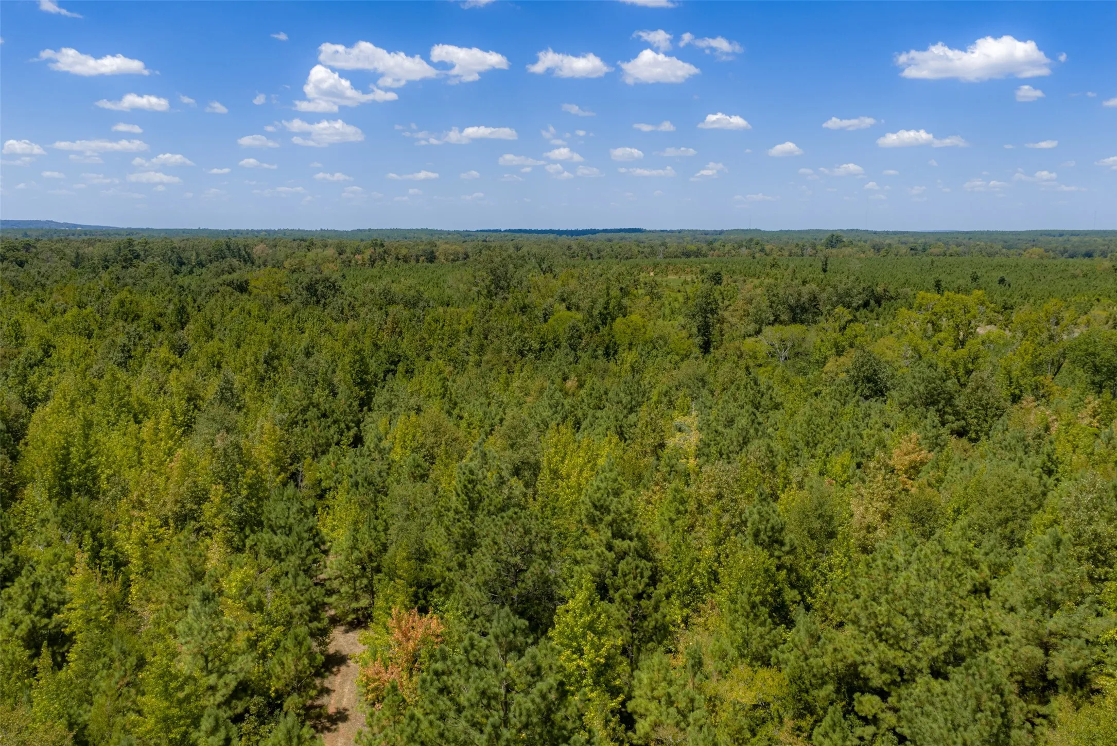 Unimproved Land For Sale in Cherokee County , N County Road 1207, Rusk, Texas 75785, 0, 0, Garage spaces, 0 Sqft, built in 0, mls#21367326, Real Estate Agent in Rusk, Homes For Sale in Cherokee county, Homes For Sale in Rusk, Realtor in Rusk Texas, Real Estate Brokerage Independent Realty Texas, Luminita Cordes Realtor