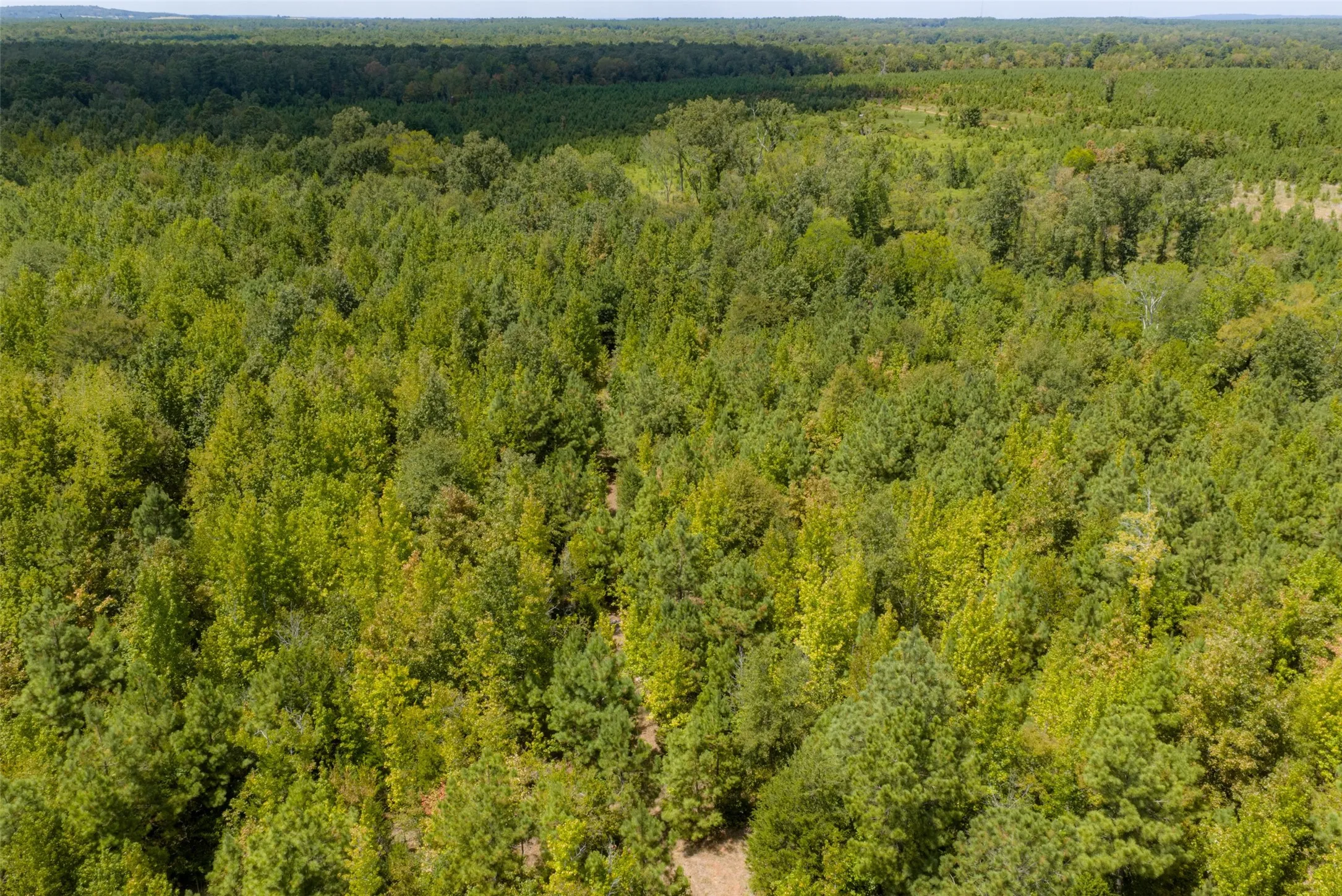 Unimproved Land For Sale in Cherokee County , N County Road 1207, Rusk, Texas 75785, 0, 0, Garage spaces, 0 Sqft, built in 0, mls#21367326, Real Estate Agent in Rusk, Homes For Sale in Cherokee county, Homes For Sale in Rusk, Realtor in Rusk Texas, Real Estate Brokerage Independent Realty Texas, Luminita Cordes Realtor