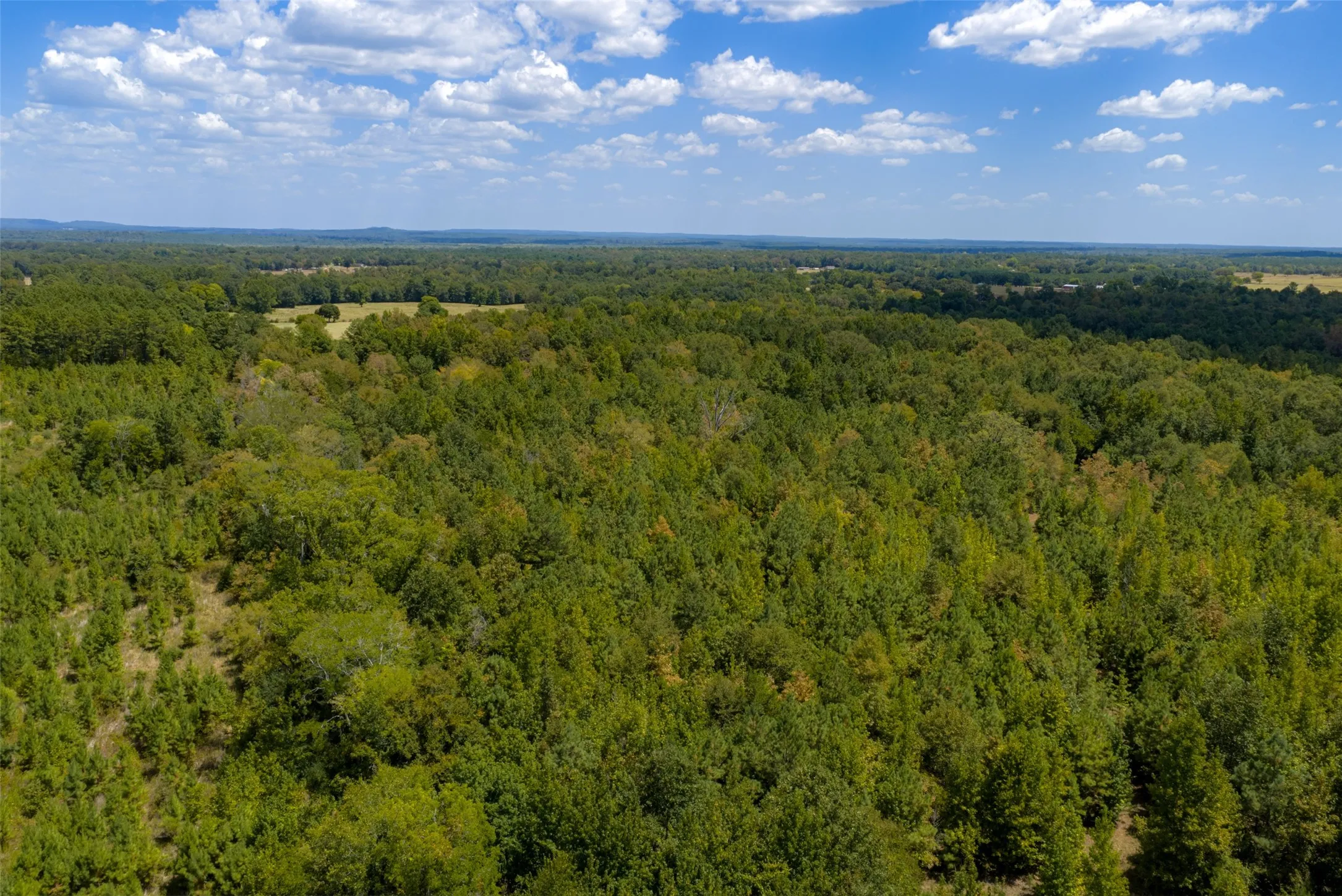 Unimproved Land For Sale in Cherokee County , N County Road 1207, Rusk, Texas 75785, 0, 0, Garage spaces, 0 Sqft, built in 0, mls#21367326, Real Estate Agent in Rusk, Homes For Sale in Cherokee county, Homes For Sale in Rusk, Realtor in Rusk Texas, Real Estate Brokerage Independent Realty Texas, Luminita Cordes Realtor