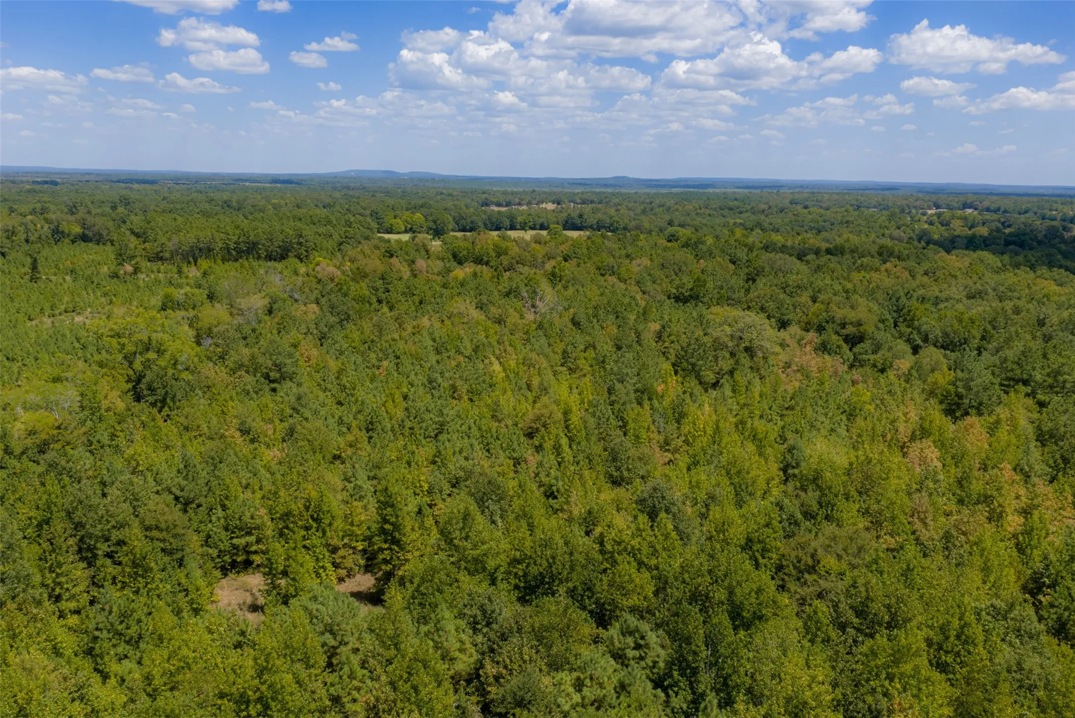 Unimproved Land For Sale in Cherokee County , N County Road 1207, Rusk, Texas 75785, 0, 0, Garage spaces, 0 Sqft, built in 0, mls#21367326, Real Estate Agent in Rusk, Homes For Sale in Cherokee county, Homes For Sale in Rusk, Realtor in Rusk Texas, Real Estate Brokerage Independent Realty Texas, Luminita Cordes Realtor