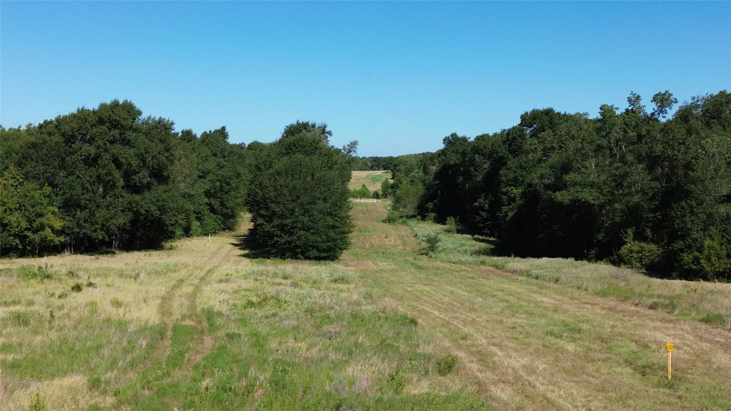 Unimproved Land For Sale in Freestone County , 270 Fcr 661, Teague, Texas 75840, 0, 0, Garage spaces, 0 Sqft, built in 0, Price $509,500, mls#21367357, Real Estate Agent in Teague, Homes For Sale in Freestone county, Homes For Sale in Teague, Realtor in Teague Texas, Real Estate Brokerage Independent Realty Texas, Luminita Cordes Realtor