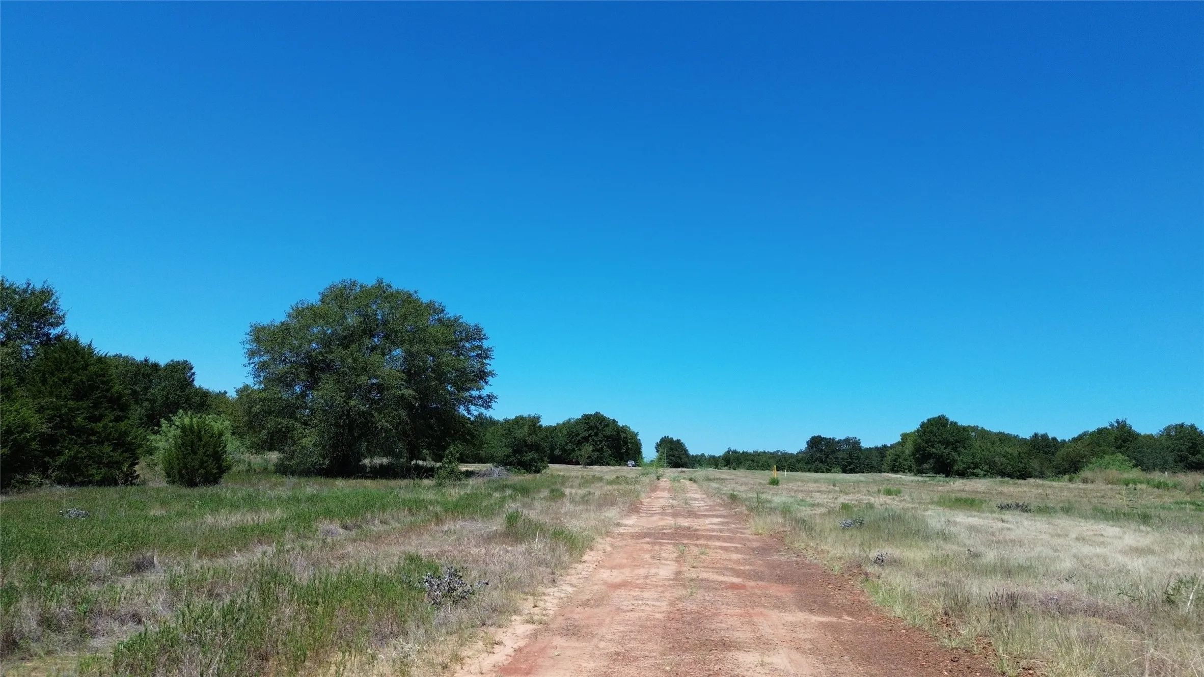 Extensive natural landscape with mature trees and a clear, unpaved path
