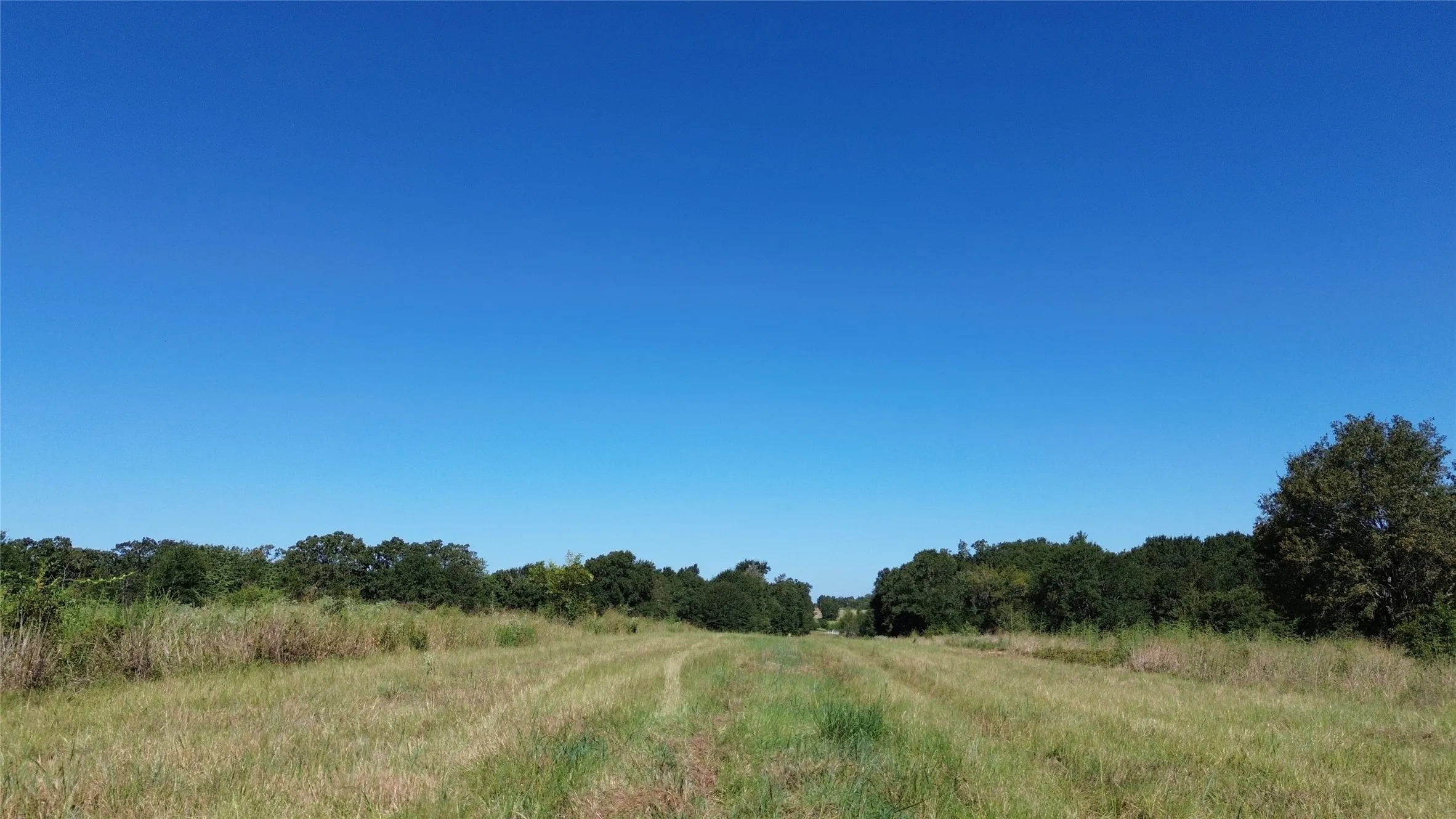 Expansive land parcel featuring open fields and mature tree lines