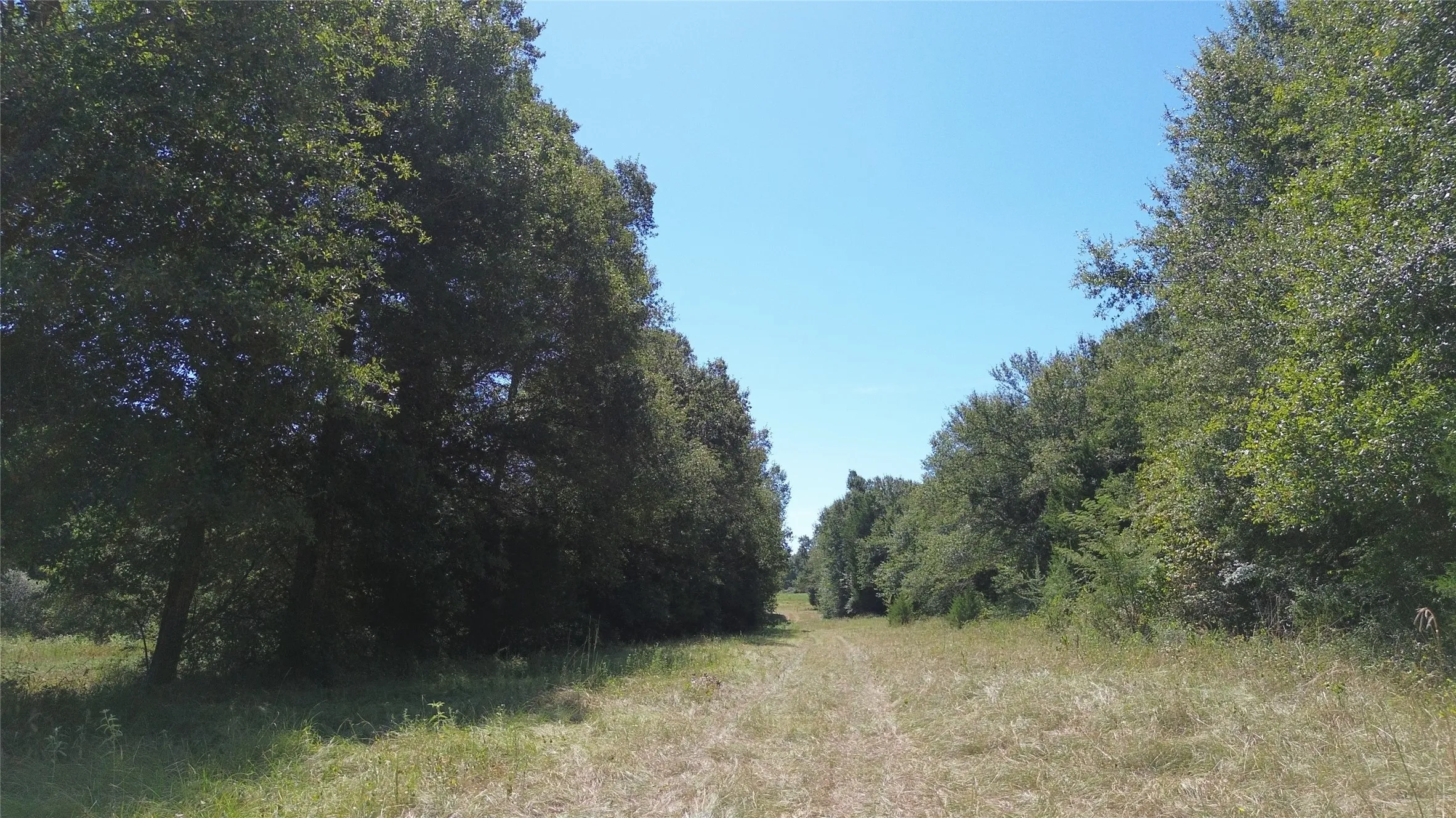 Unimproved Land For Sale in Freestone County , 270 Fcr 661, Teague, Texas 75840, 0, 0, Garage spaces, 0 Sqft, built in 0, Price $509,500, mls#21367357, Real Estate Agent in Teague, Homes For Sale in Freestone county, Homes For Sale in Teague, Realtor in Teague Texas, Real Estate Brokerage Independent Realty Texas, Luminita Cordes Realtor