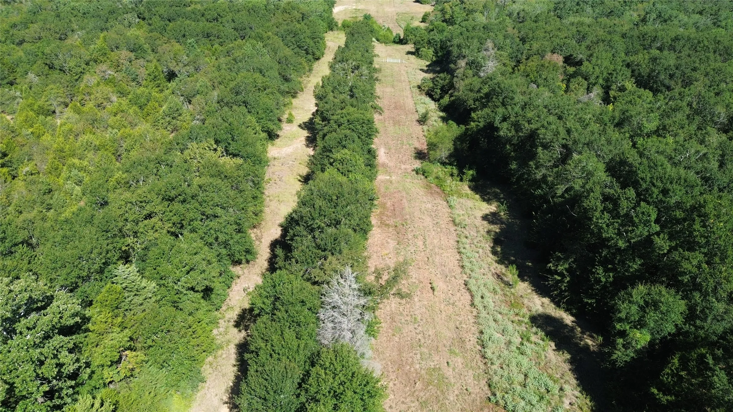 Cleared land surrounded by mature trees