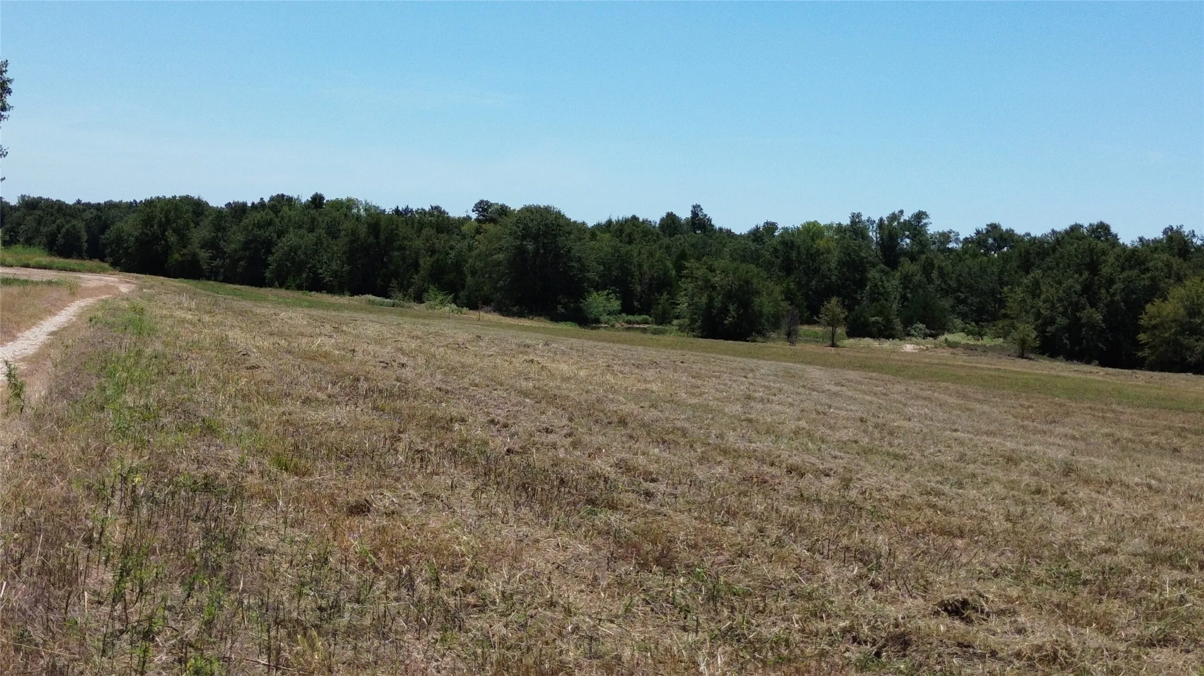 Expansive open field with mown grass and a natural tree line