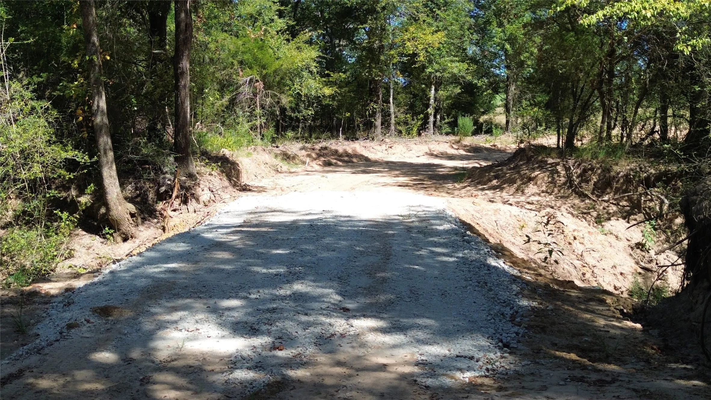 Gravel-covered road leading through a wooded landscape