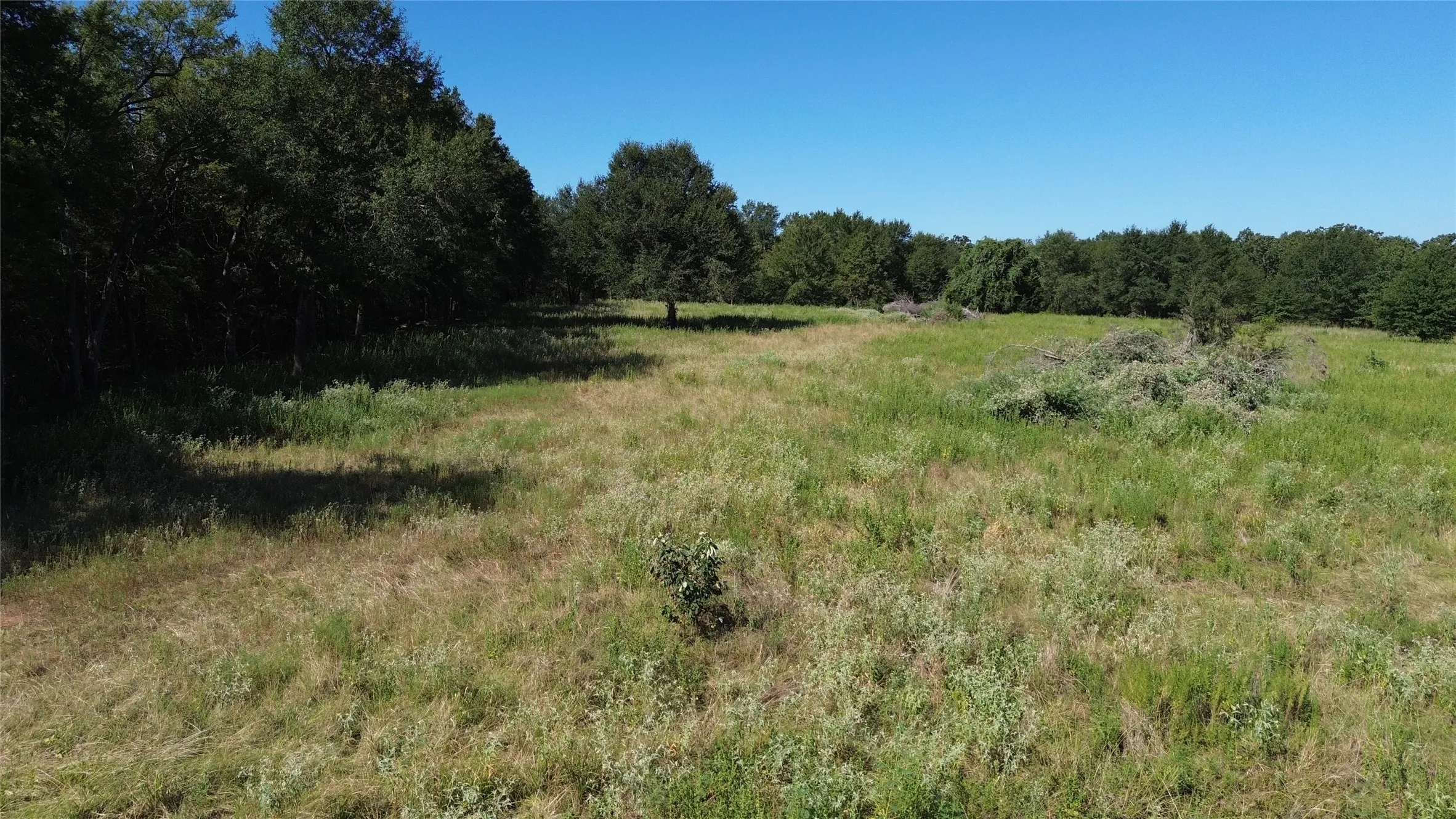 Expansive open field with scattered green foliage and a tree line
