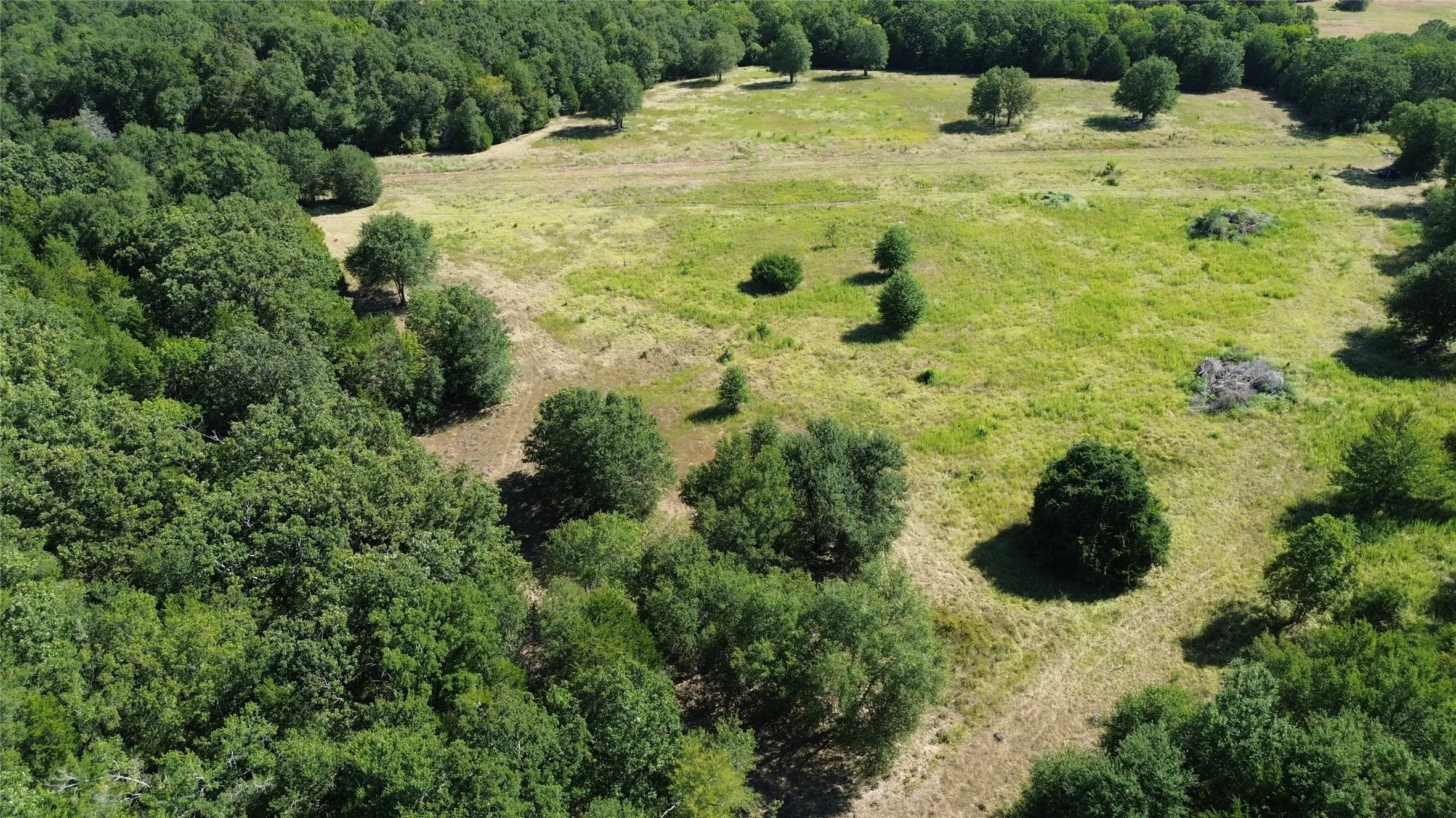 Expansive green landscape with a mixture of dense woodland and open grassy areas