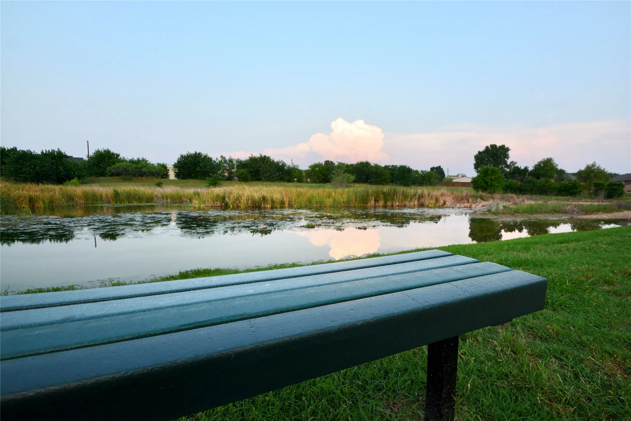 Cul-de-sac pond for fishing
