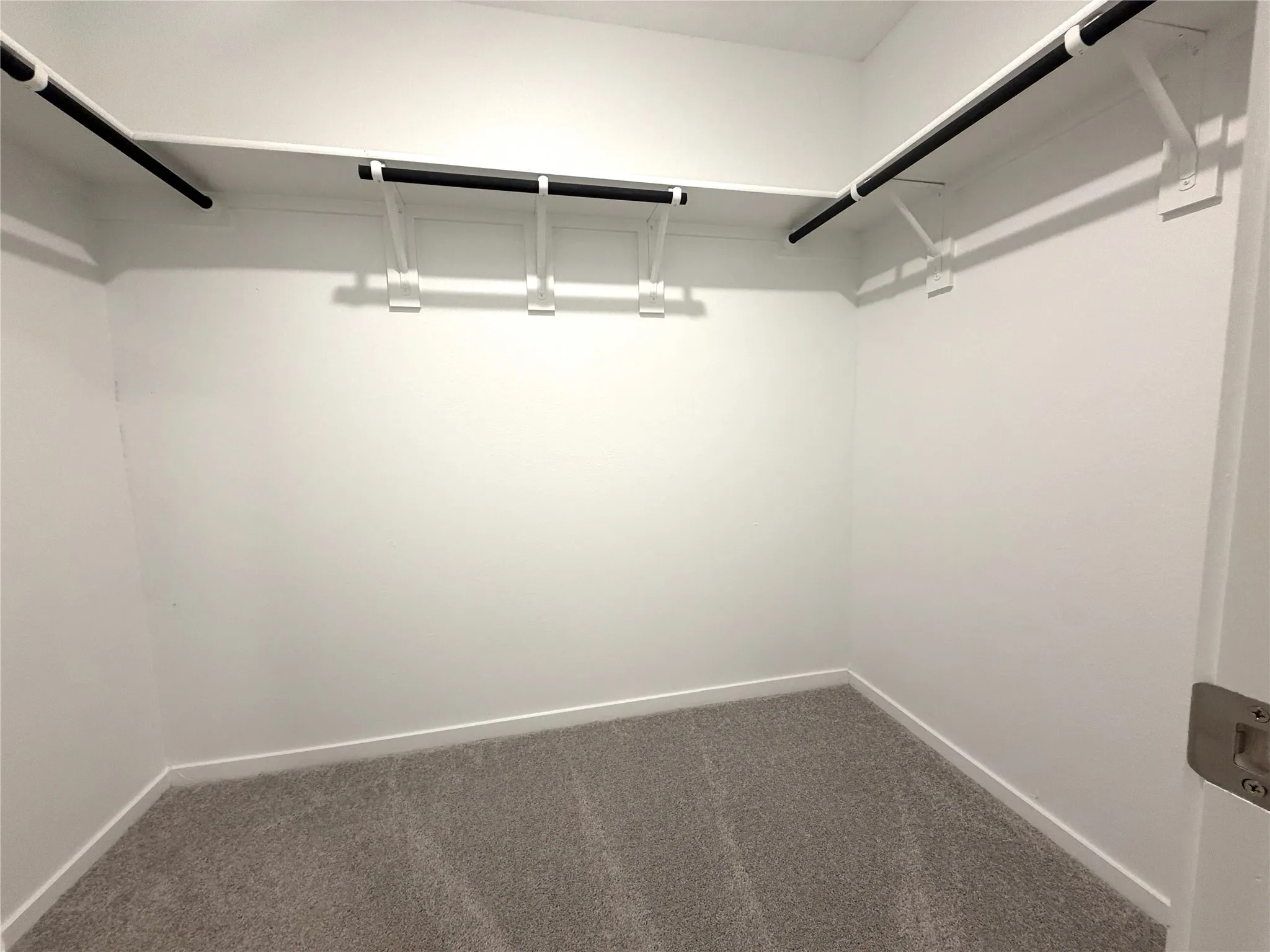 White walls, gray carpet, and white shelving with black rods