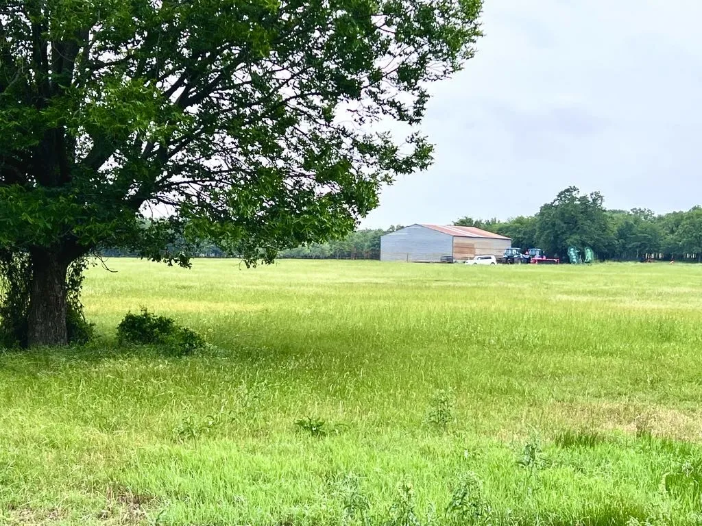 Ranch For Sale in Wise County , 1179 County Road 1990, Chico, Texas 76431, 0, 0, Garage spaces, 0 Sqft, built in 0, Price $874,000, mls#21366824, Real Estate Agent in Chico, Homes For Sale in Wise county, Homes For Sale in Chico, Realtor in Chico Texas, Real Estate Brokerage Independent Realty Texas, Luminita Cordes Realtor