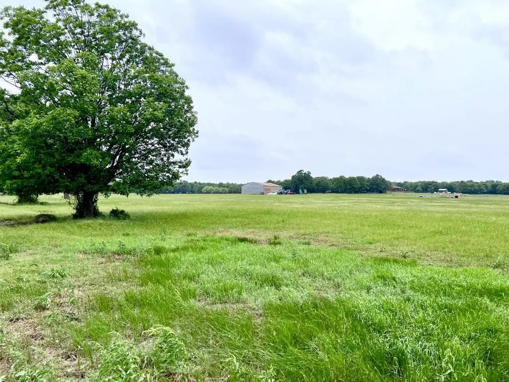 Ranch For Sale in Wise County , 1179 County Road 1990, Chico, Texas 76431, 0, 0, Garage spaces, 0 Sqft, built in 0, Price $874,000, mls#21366824, Real Estate Agent in Chico, Homes For Sale in Wise county, Homes For Sale in Chico, Realtor in Chico Texas, Real Estate Brokerage Independent Realty Texas, Luminita Cordes Realtor