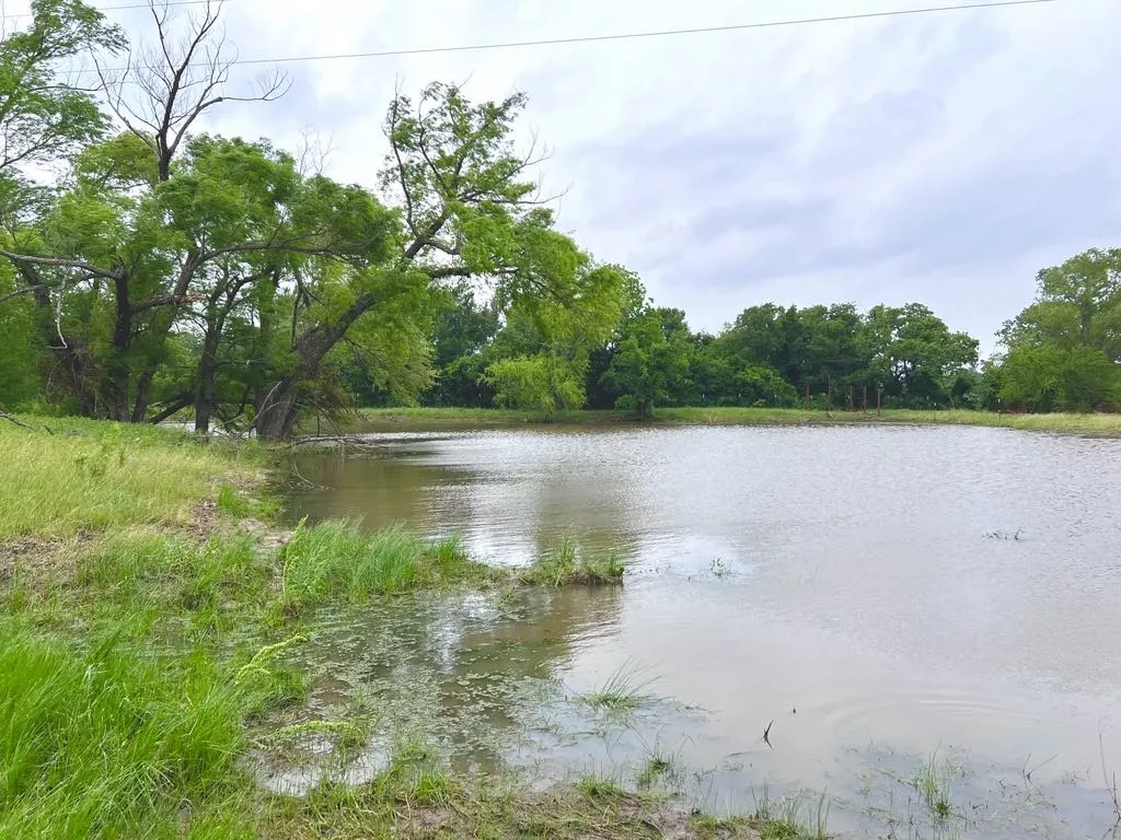 Ranch For Sale in Wise County , 1179 County Road 1990, Chico, Texas 76431, 0, 0, Garage spaces, 0 Sqft, built in 0, Price $874,000, mls#21366824, Real Estate Agent in Chico, Homes For Sale in Wise county, Homes For Sale in Chico, Realtor in Chico Texas, Real Estate Brokerage Independent Realty Texas, Luminita Cordes Realtor