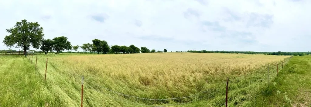 Ranch For Sale in Wise County , 1179 County Road 1990, Chico, Texas 76431, 0, 0, Garage spaces, 0 Sqft, built in 0, Price $874,000, mls#21366824, Real Estate Agent in Chico, Homes For Sale in Wise county, Homes For Sale in Chico, Realtor in Chico Texas, Real Estate Brokerage Independent Realty Texas, Luminita Cordes Realtor