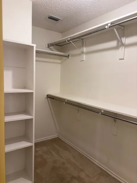 Walk-in closet with built-in shelving, dual hanging rods, and neutral-toned carpeting