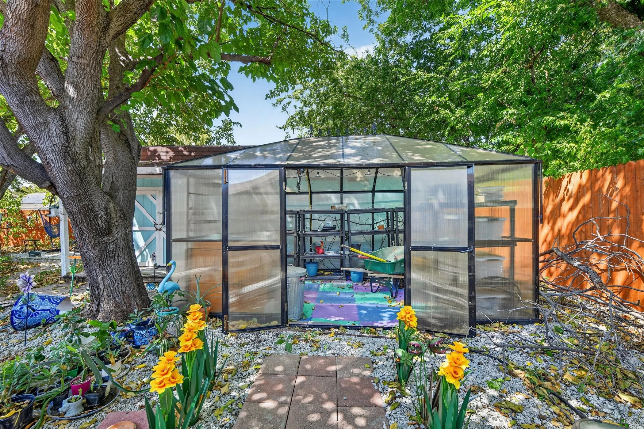 Greenhouse structure with translucent panels and black framing