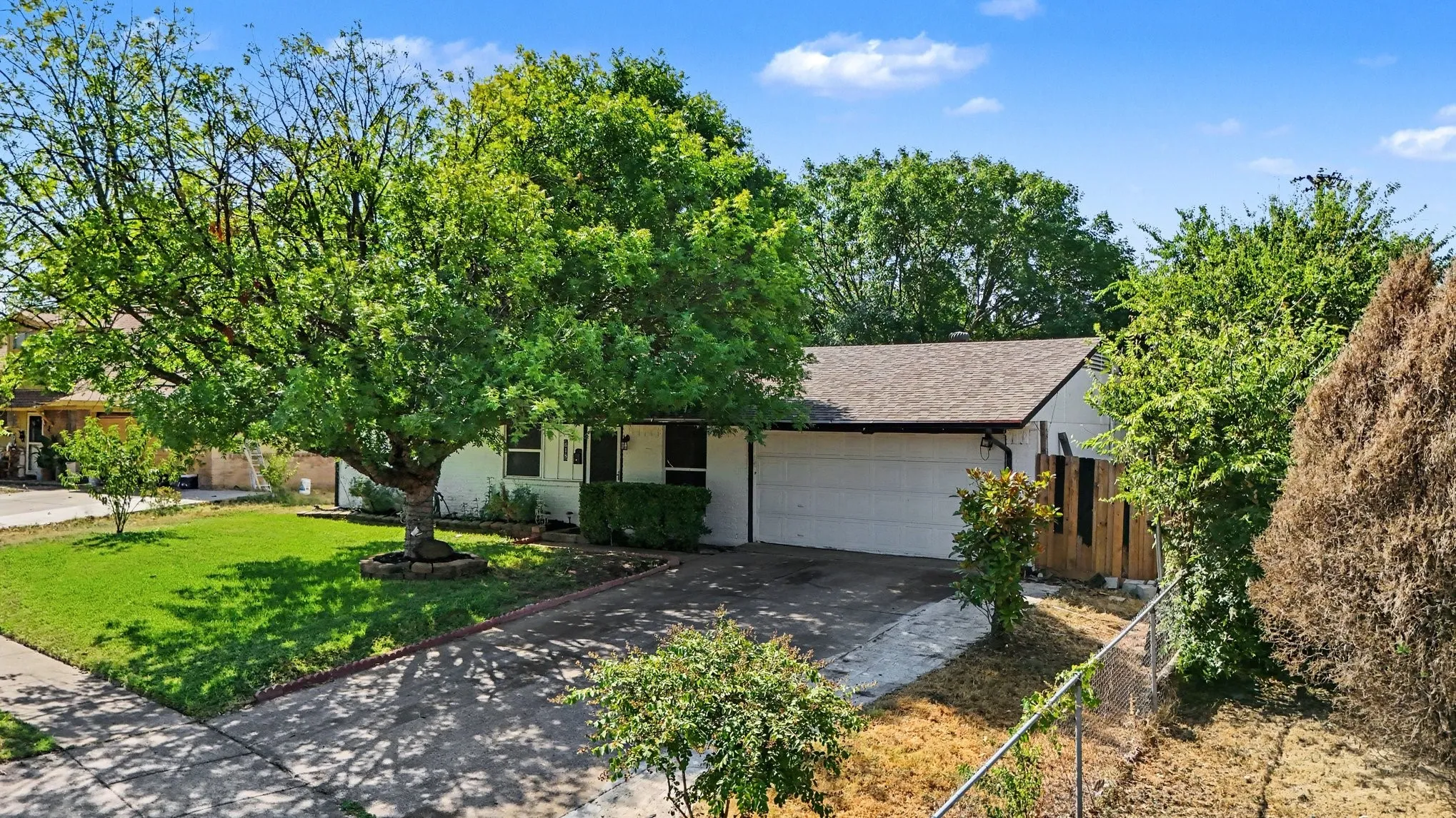 Front exterior featuring a prominent mature tree, manicured lawn, and attached garage