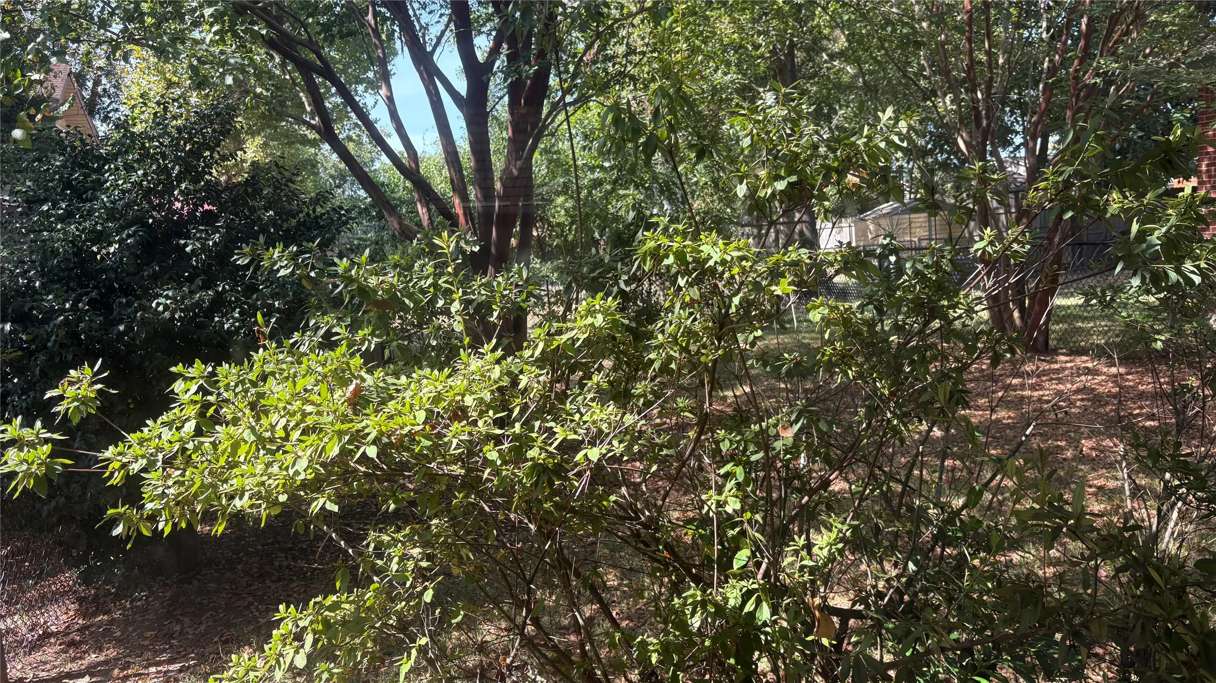 back yard off primary bedroom