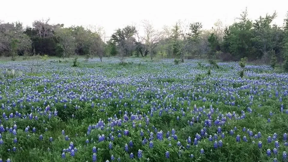 Single Family Residence For Sale in Brown County , 9486 Coppic Ranch Road, Brownwood, Texas 76801, 3 Bedroom, 3 Bathroom, Garage spaces, 1,550 Sqft, built in 0, mls#21363267, Real Estate Agent in Brownwood, Homes For Sale in Brown county, Homes For Sale in Brownwood, Realtor in Brownwood Texas, Real Estate Brokerage Independent Realty Texas, Luminita Cordes Realtor