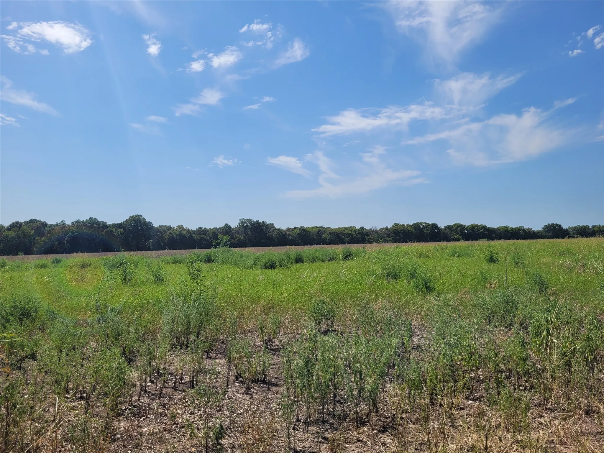 Unimproved Land For Sale in Red River (TX) County , TBD COUNTY ROAD 4135, Clarksville, Texas 84526, 0, 0, Garage spaces, 0 Sqft, built in 0, Price $55,000, mls#21367468, Real Estate Agent in Clarksville, Homes For Sale in Red River (TX) county, Homes For Sale in Clarksville, Realtor in Clarksville Texas, Real Estate Brokerage Independent Realty Texas, Luminita Cordes Realtor