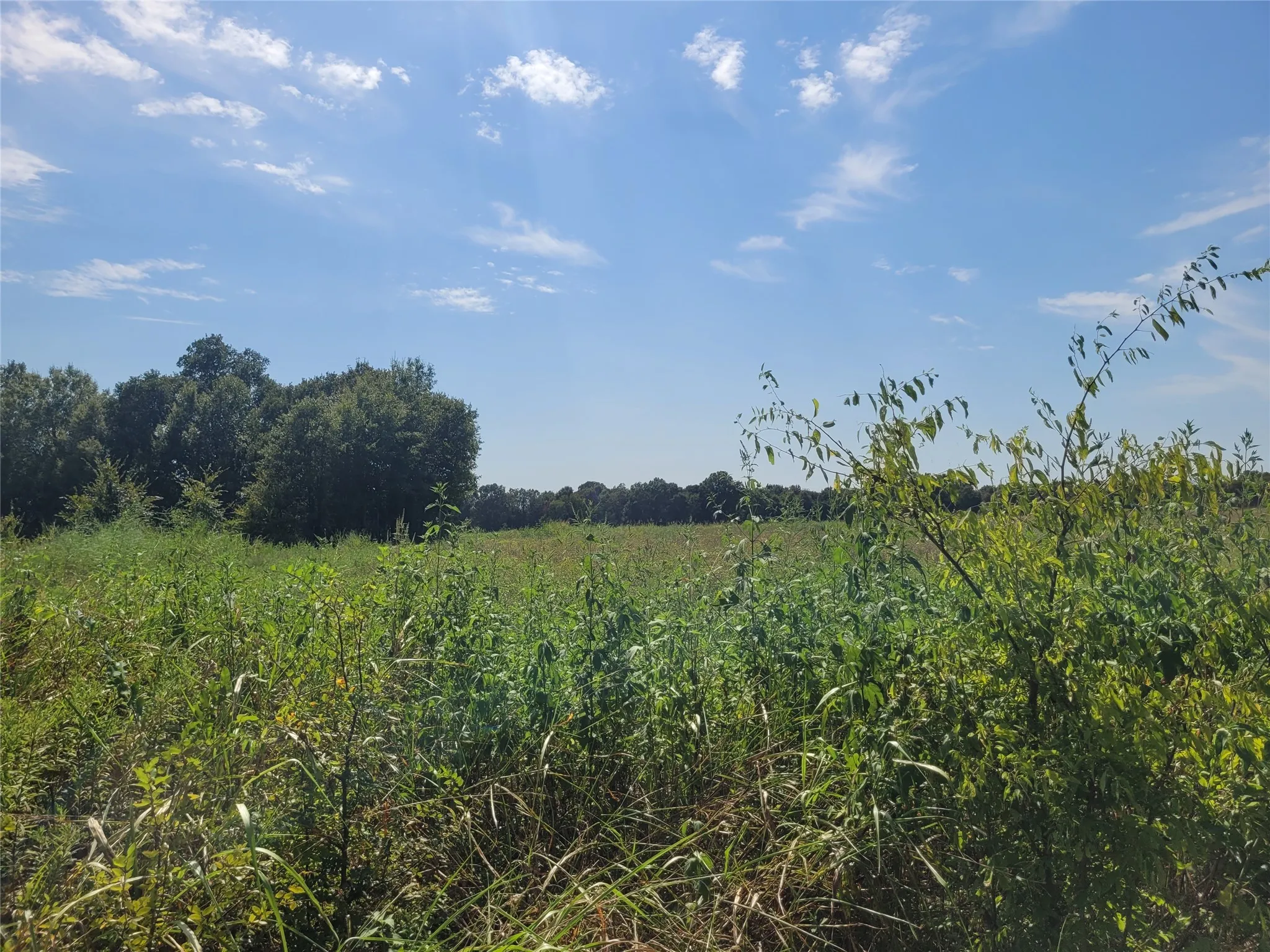 Unimproved Land For Sale in Red River (TX) County , TBD COUNTY ROAD 4135, Clarksville, Texas 84526, 0, 0, Garage spaces, 0 Sqft, built in 0, Price $55,000, mls#21367468, Real Estate Agent in Clarksville, Homes For Sale in Red River (TX) county, Homes For Sale in Clarksville, Realtor in Clarksville Texas, Real Estate Brokerage Independent Realty Texas, Luminita Cordes Realtor