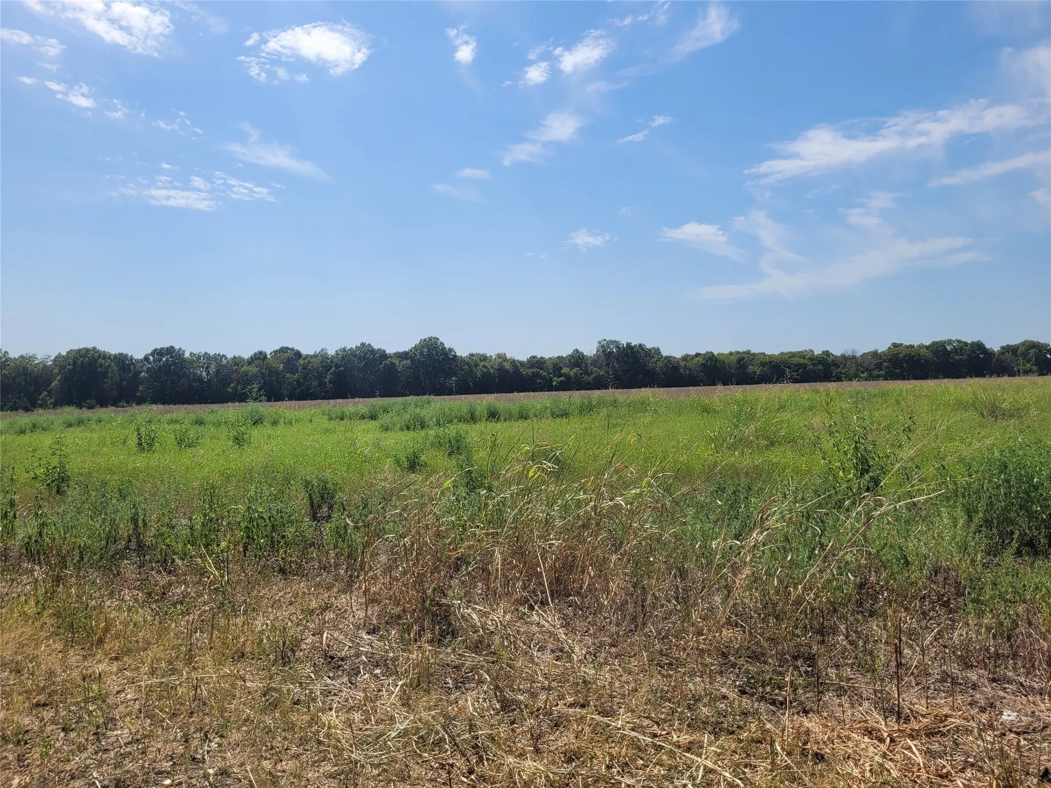 Unimproved Land For Sale in Red River (TX) County , TBD COUNTY ROAD 4135, Clarksville, Texas 84526, 0, 0, Garage spaces, 0 Sqft, built in 0, Price $55,000, mls#21367468, Real Estate Agent in Clarksville, Homes For Sale in Red River (TX) county, Homes For Sale in Clarksville, Realtor in Clarksville Texas, Real Estate Brokerage Independent Realty Texas, Luminita Cordes Realtor
