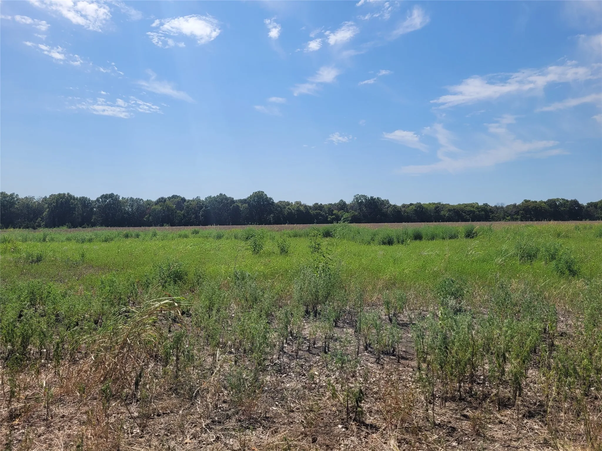 Unimproved Land For Sale in Red River (TX) County , TBD COUNTY ROAD 4135, Clarksville, Texas 84526, 0, 0, Garage spaces, 0 Sqft, built in 0, Price $55,000, mls#21367468, Real Estate Agent in Clarksville, Homes For Sale in Red River (TX) county, Homes For Sale in Clarksville, Realtor in Clarksville Texas, Real Estate Brokerage Independent Realty Texas, Luminita Cordes Realtor