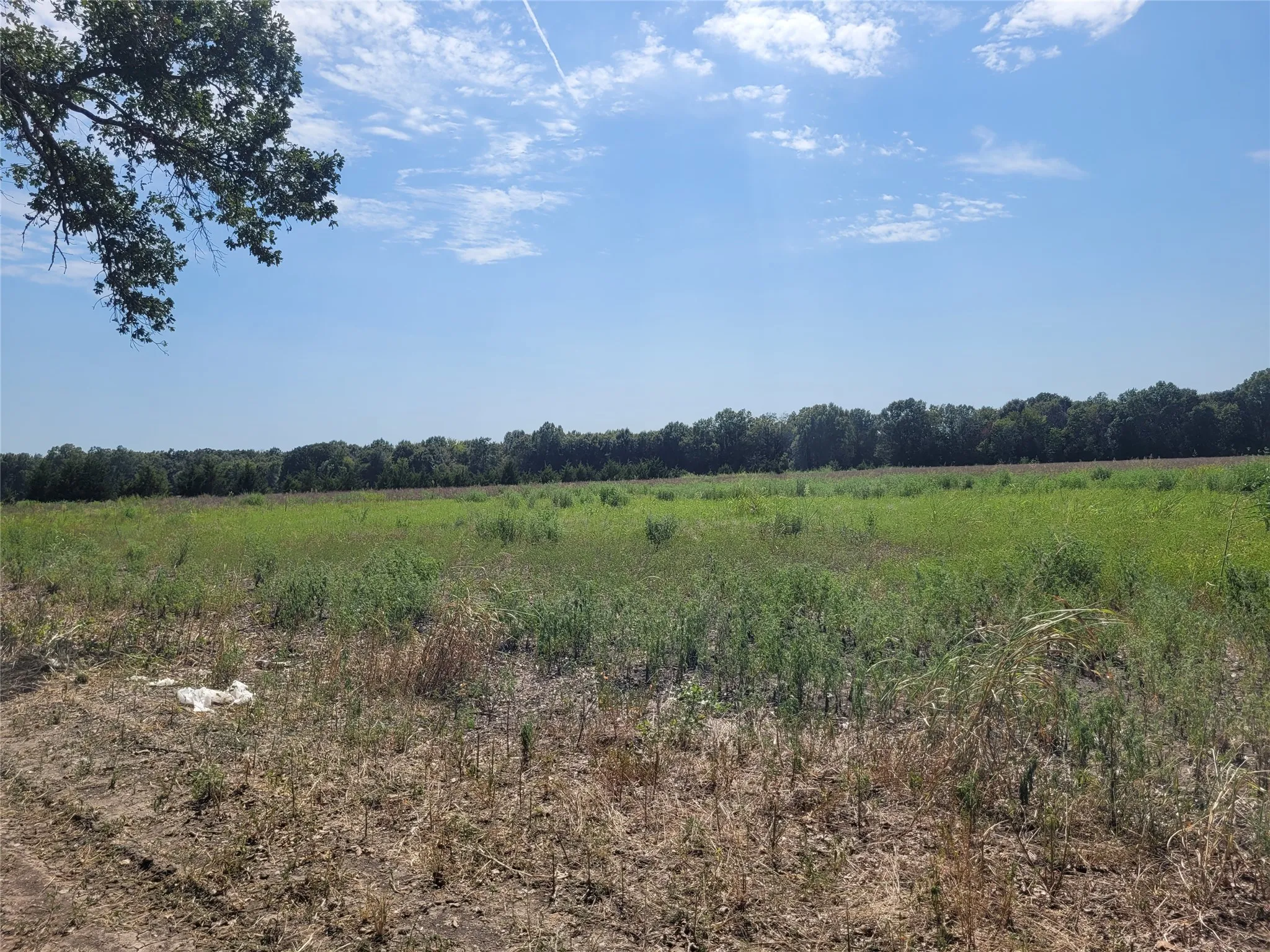 Unimproved Land For Sale in Red River (TX) County , TBD COUNTY ROAD 4135, Clarksville, Texas 84526, 0, 0, Garage spaces, 0 Sqft, built in 0, Price $55,000, mls#21367468, Real Estate Agent in Clarksville, Homes For Sale in Red River (TX) county, Homes For Sale in Clarksville, Realtor in Clarksville Texas, Real Estate Brokerage Independent Realty Texas, Luminita Cordes Realtor